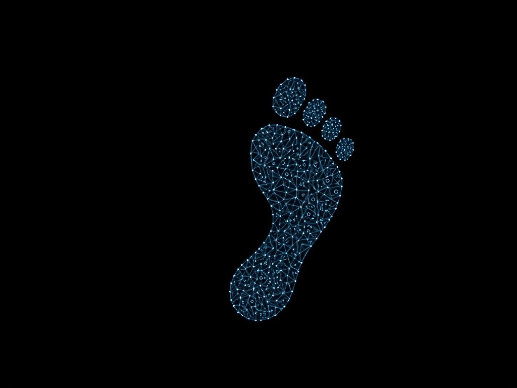 Digital Footprint image