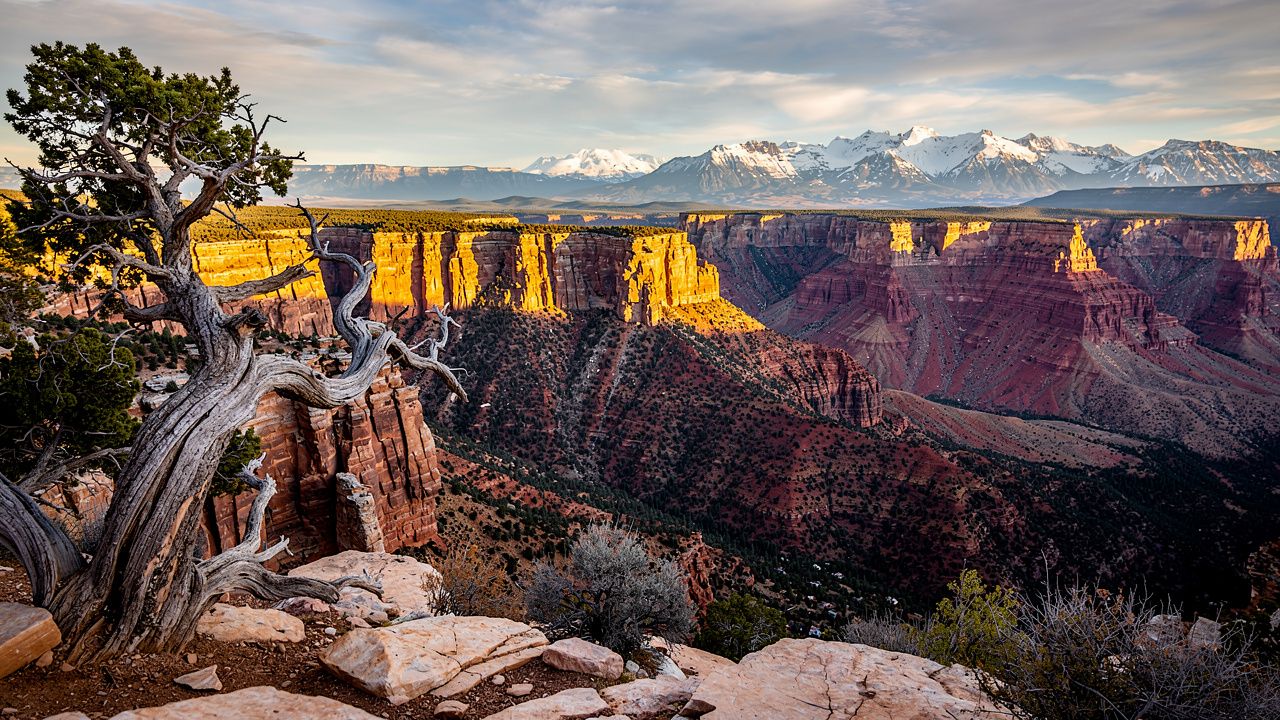 Panoramic view from Timber Creek Overlook