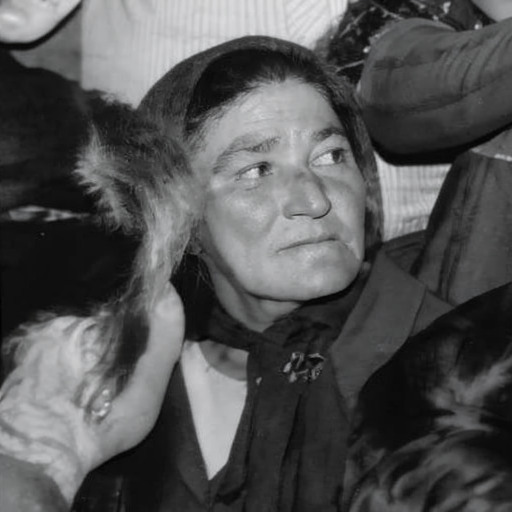 restaureaza-imaginea-f8htyzk1xq