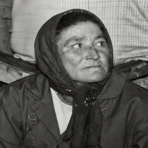 restaureaza-imaginea-k9wd615vv2