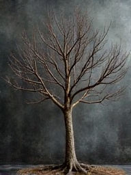 create-a-realistic-image-of-a-small-leafless-fig-uzmvkc7487