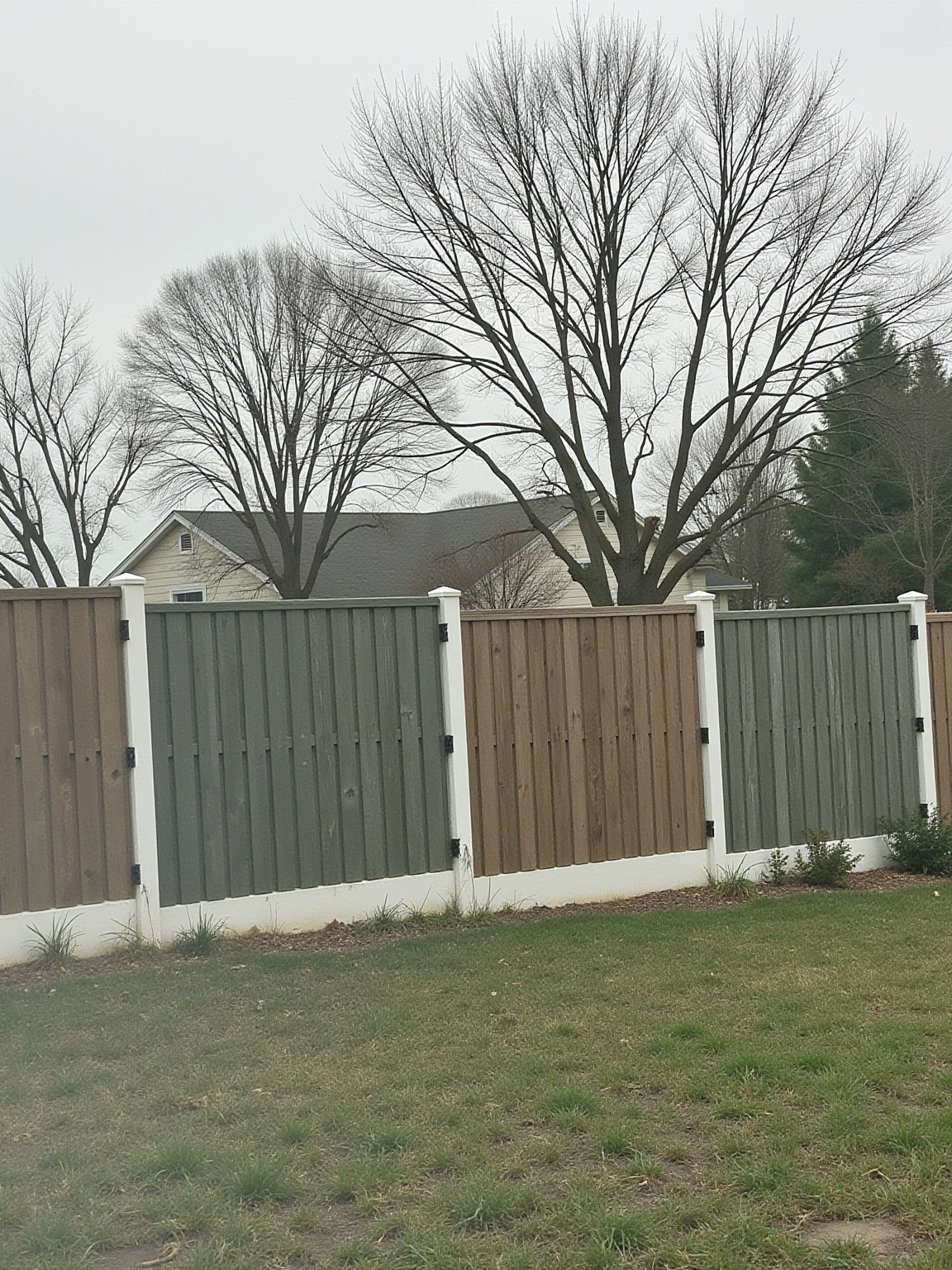 we-even-over-the-fence-4r8du8bsvd