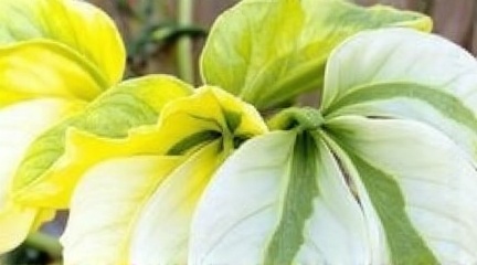 make-this-realistic-5hhhb8l159