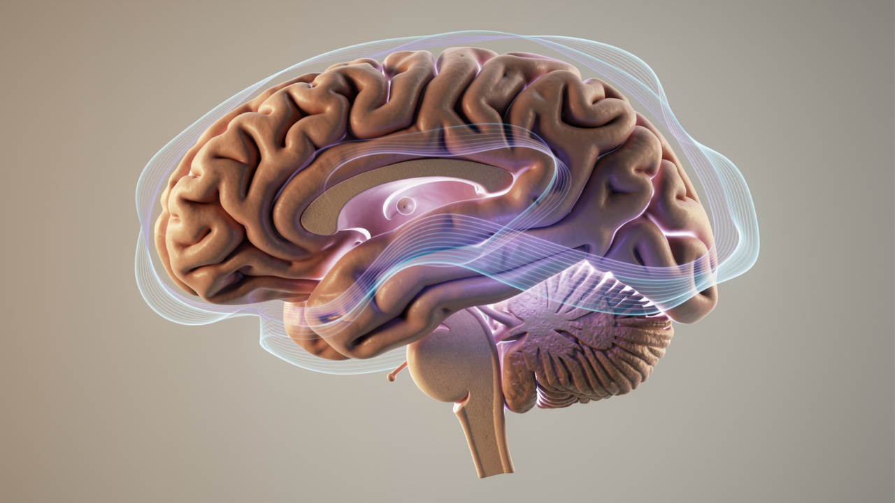 Brain activity patterns during different sleep stages