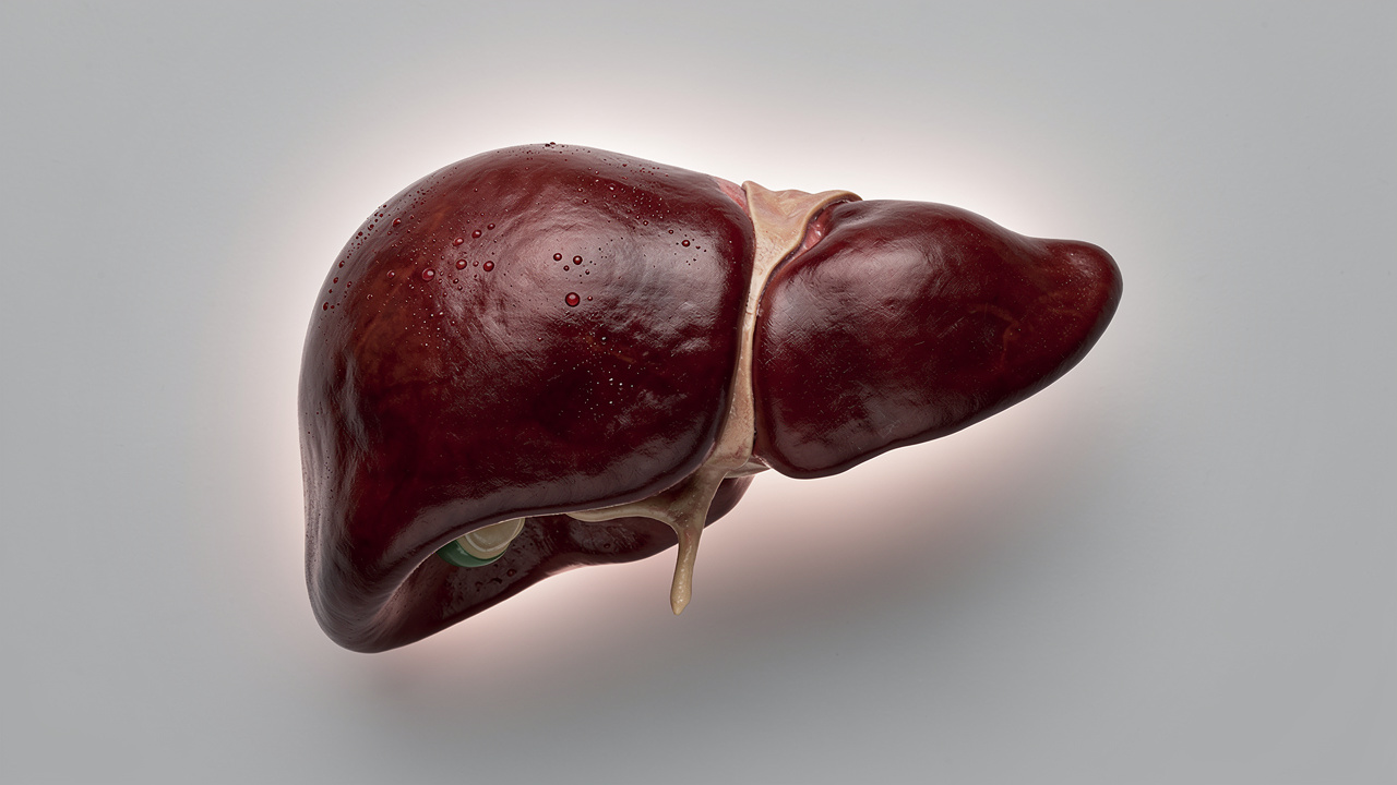 Healthy liver tissue and detoxification pathways