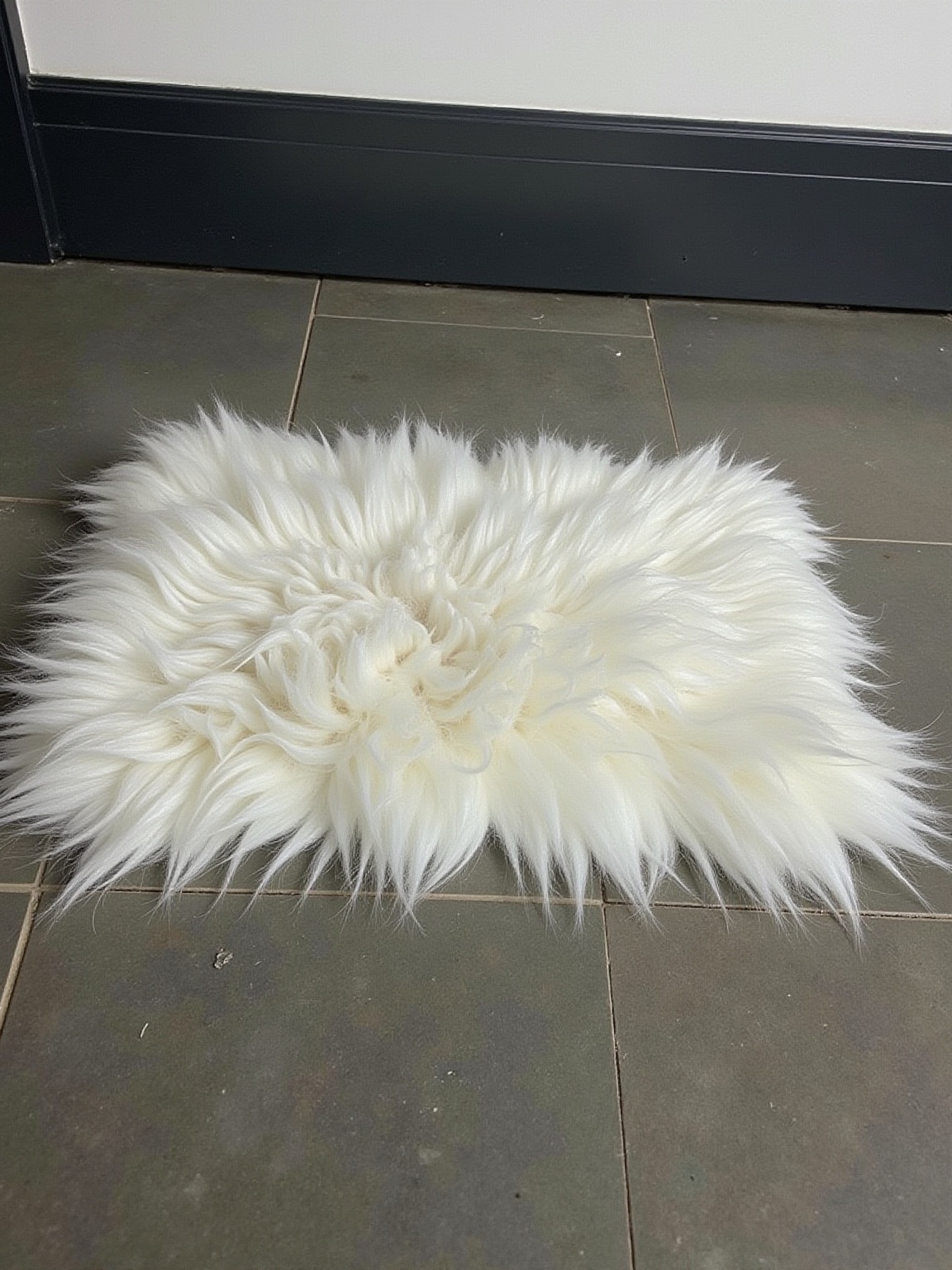 pon-el-mueble-pelo-negro-y-liso-como-si-me-hubiera-bj7c4w3wh