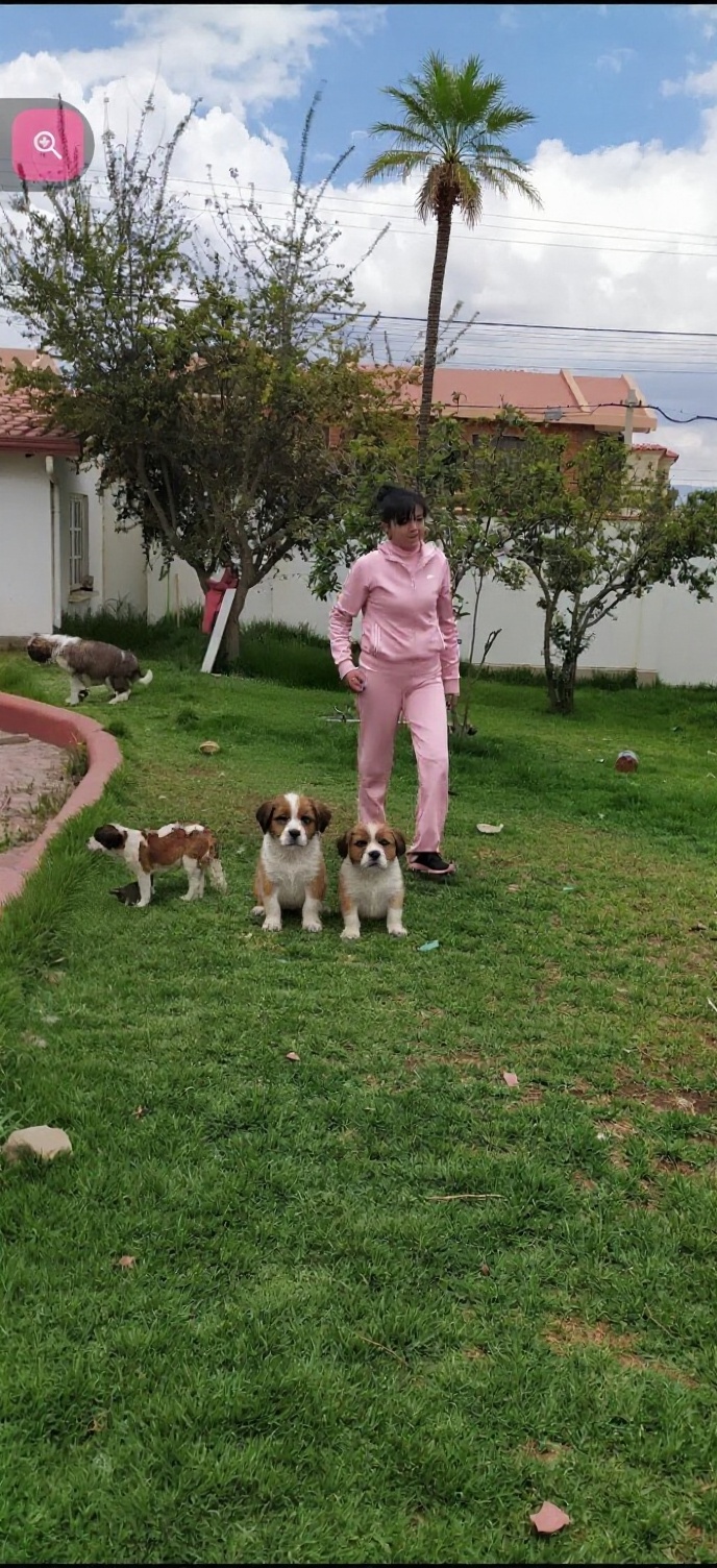 quiero-que-la-palmera-que-esta-al-fondo-sea-mas-mzx58j6wgh