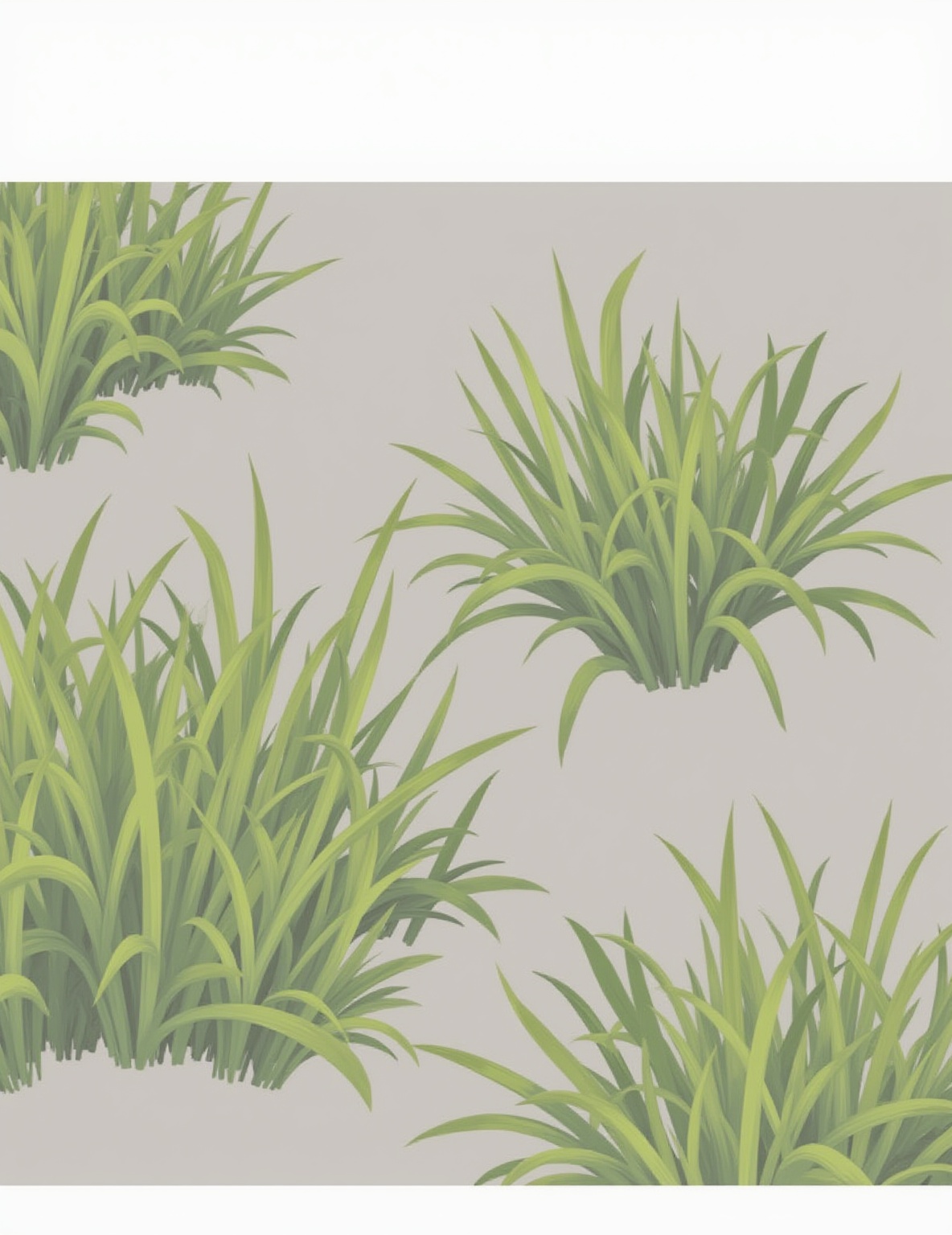 grass-and-groundcover-with-natural-lighting-1qd73a56vr