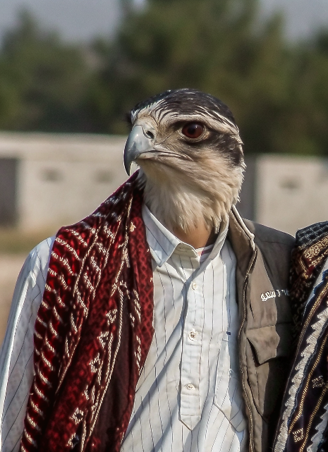 genrate-it-a-unblure-s8913z0fh5