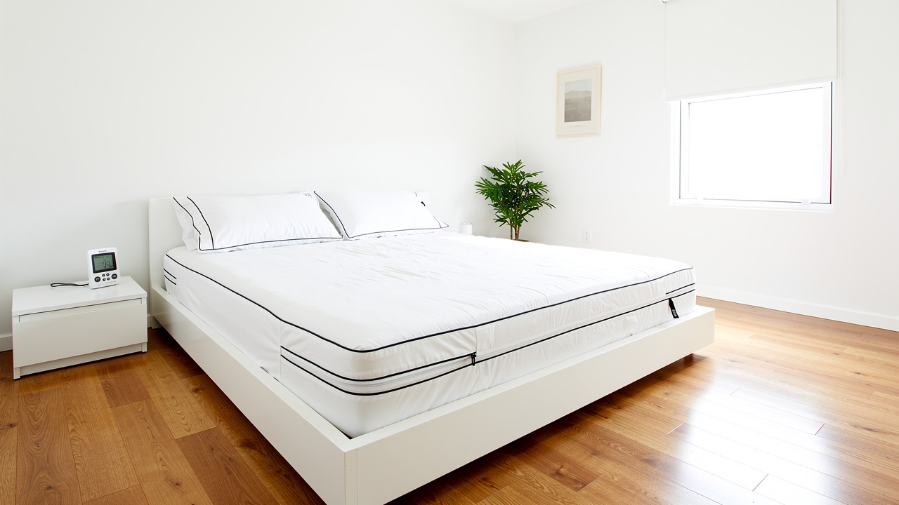 Bedroom with allergen-resistant mattress protectors