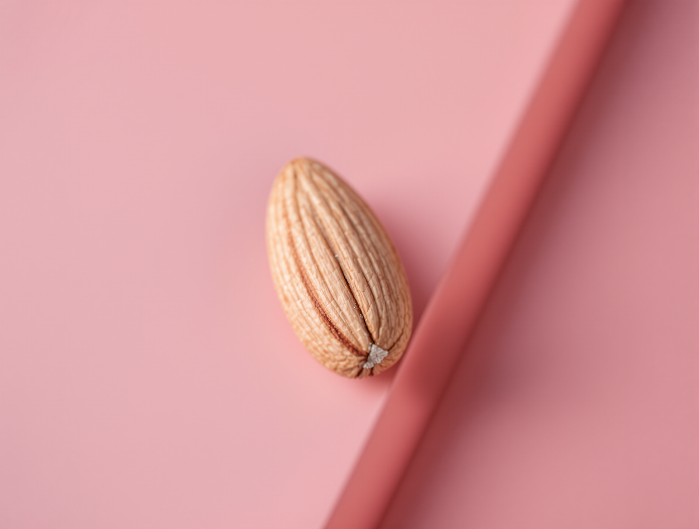 single-almond-on-dusty-rose-matte-surface-extreme-9y3y0m4l3k