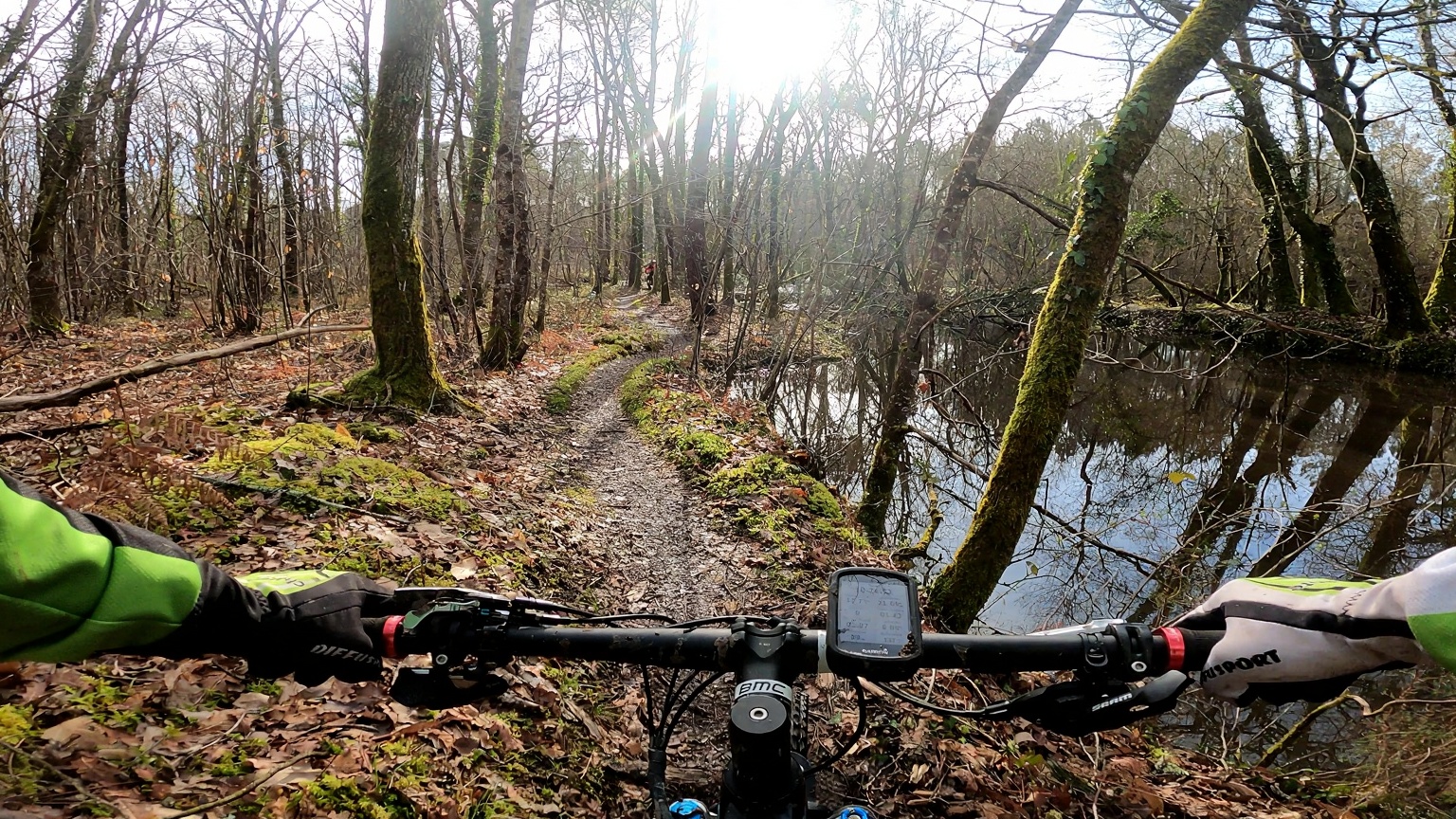 add-film-photography-qualities-while-keeping-it-tnmoh99al4