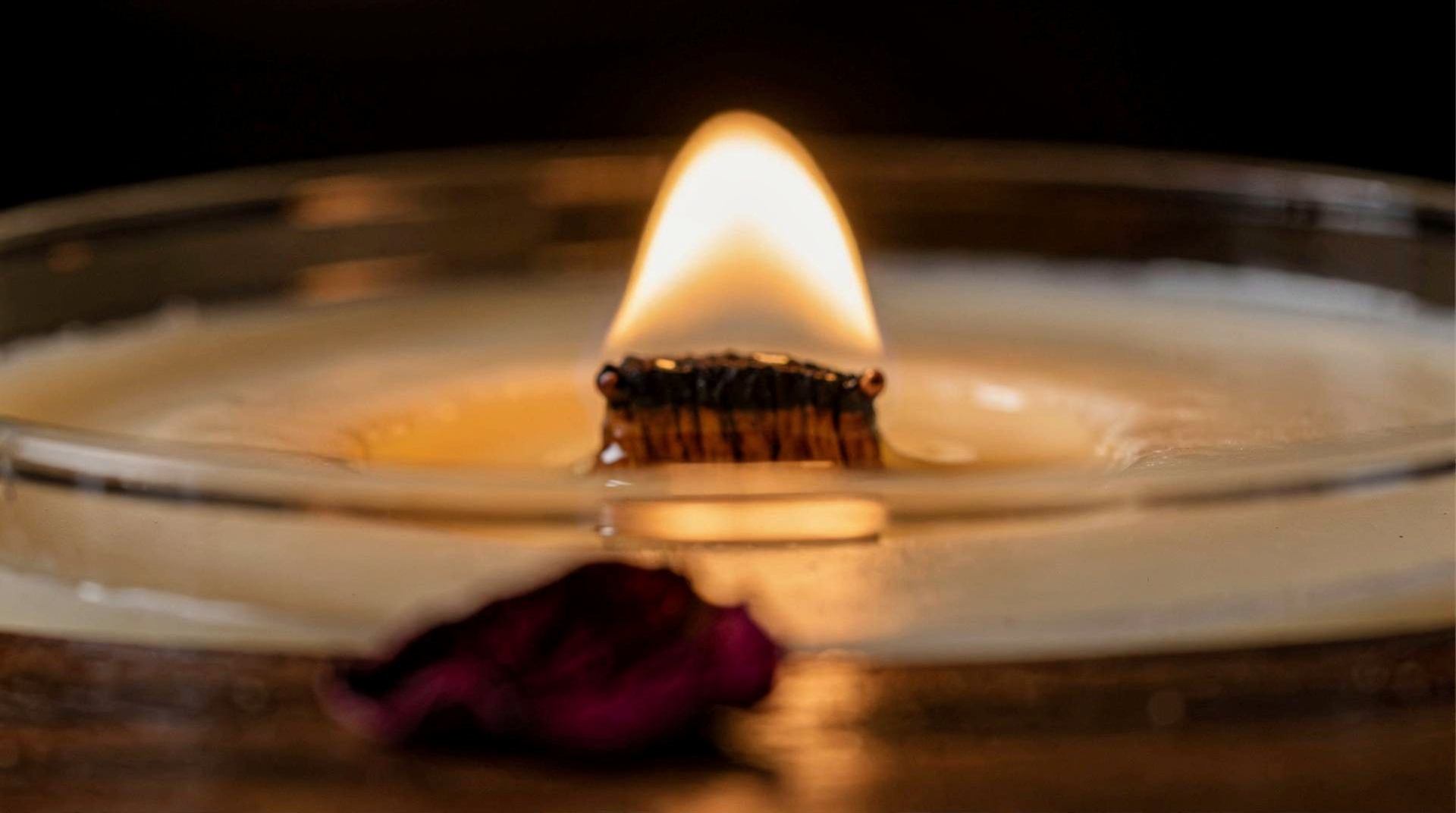 Best Wooden Wick Candles of 2025: Why They Burn Better (and Sound Better Too)