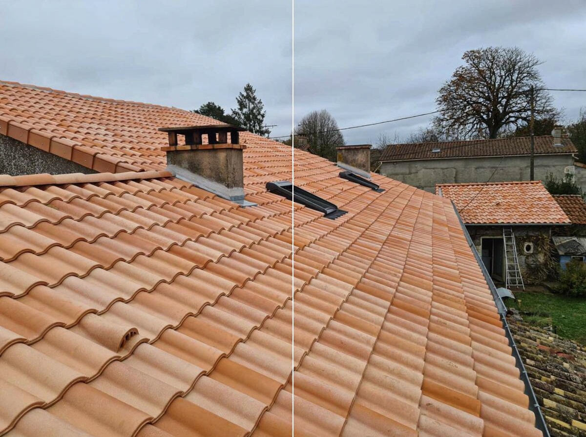 photorealistic-dslr-photograph-of-a-french-r9nffhck7i