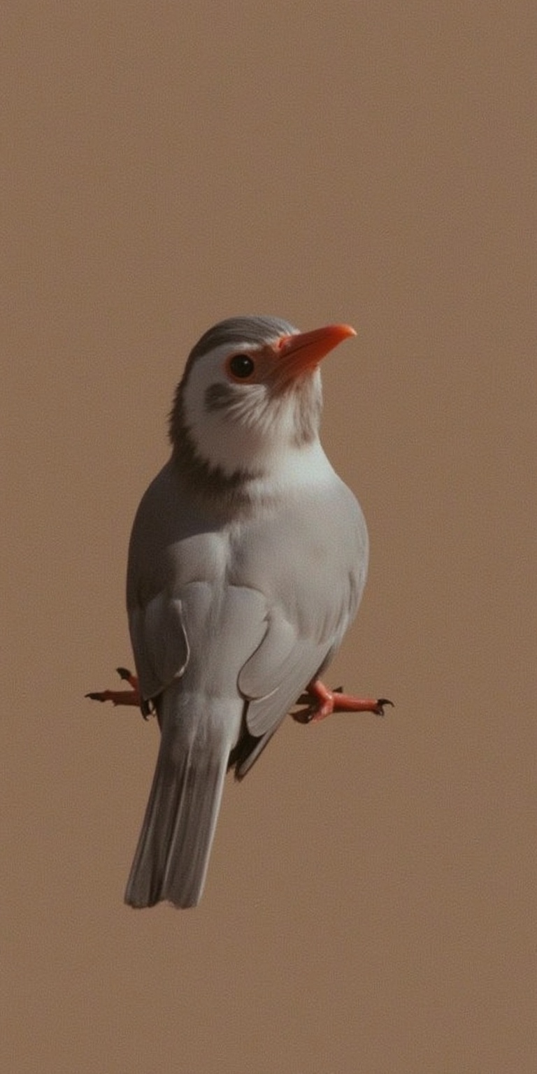 mas-realista-6ubjtir9x5