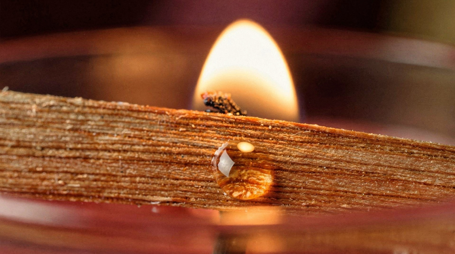 MBur vs Bath and Body Works: Which Candle Is Actually Better for Your Health?