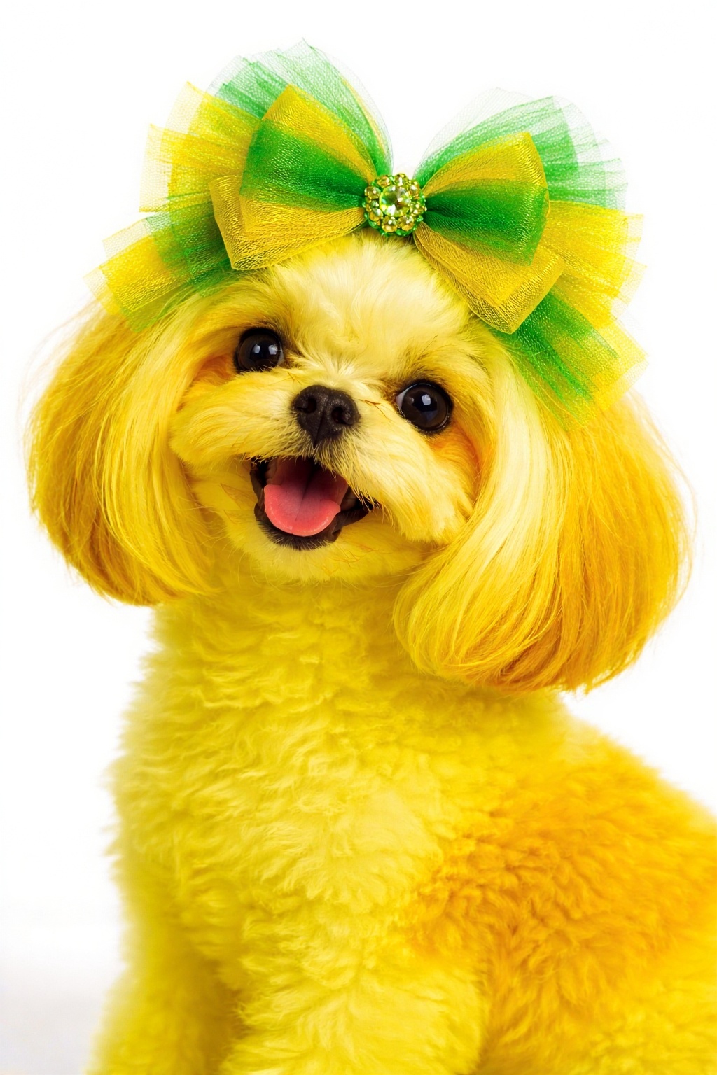 fundo-amarelo-claro-ffnyljb16e