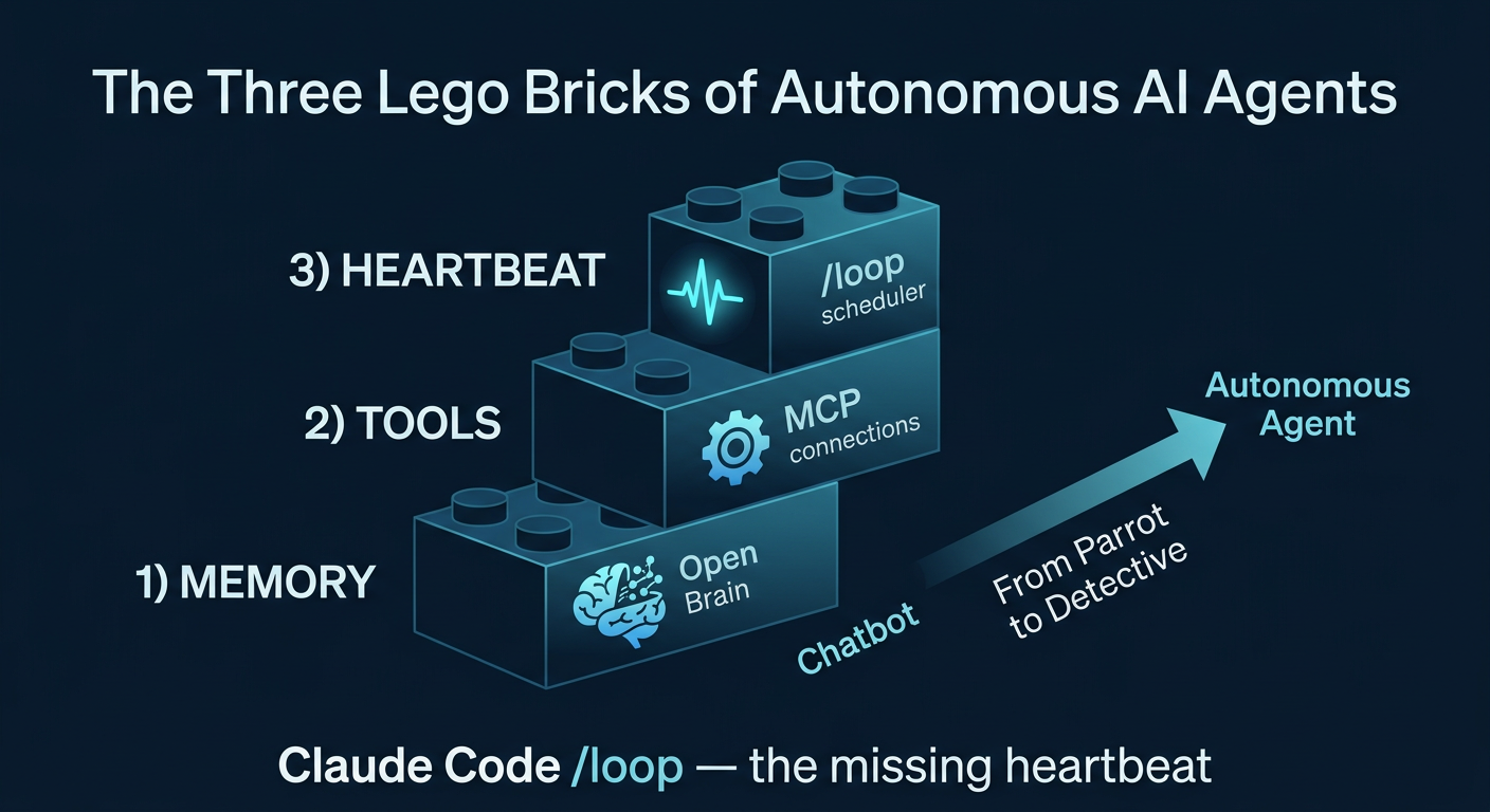 Portrait Infographic