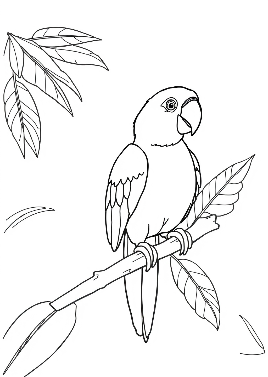 Ausmalbild: Papagei