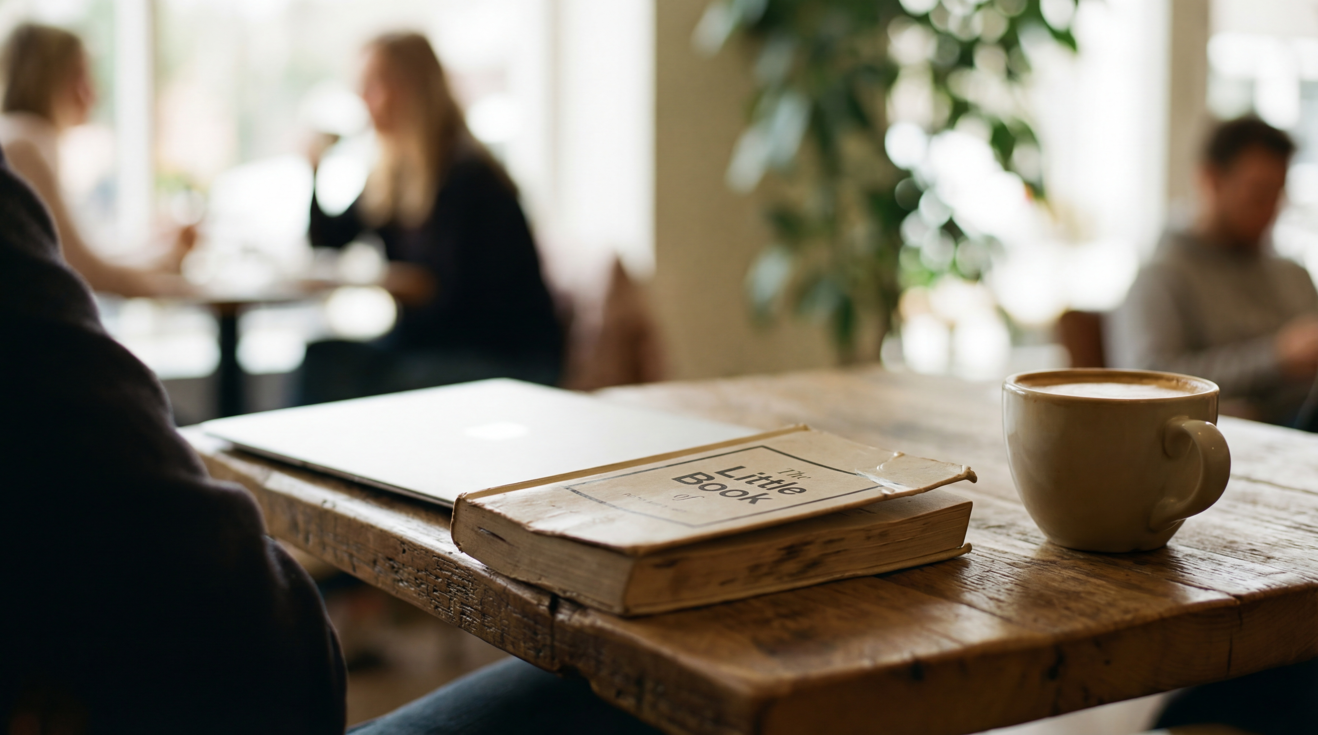 Cover image for The Little Book of C: A Compact Guide for Coders