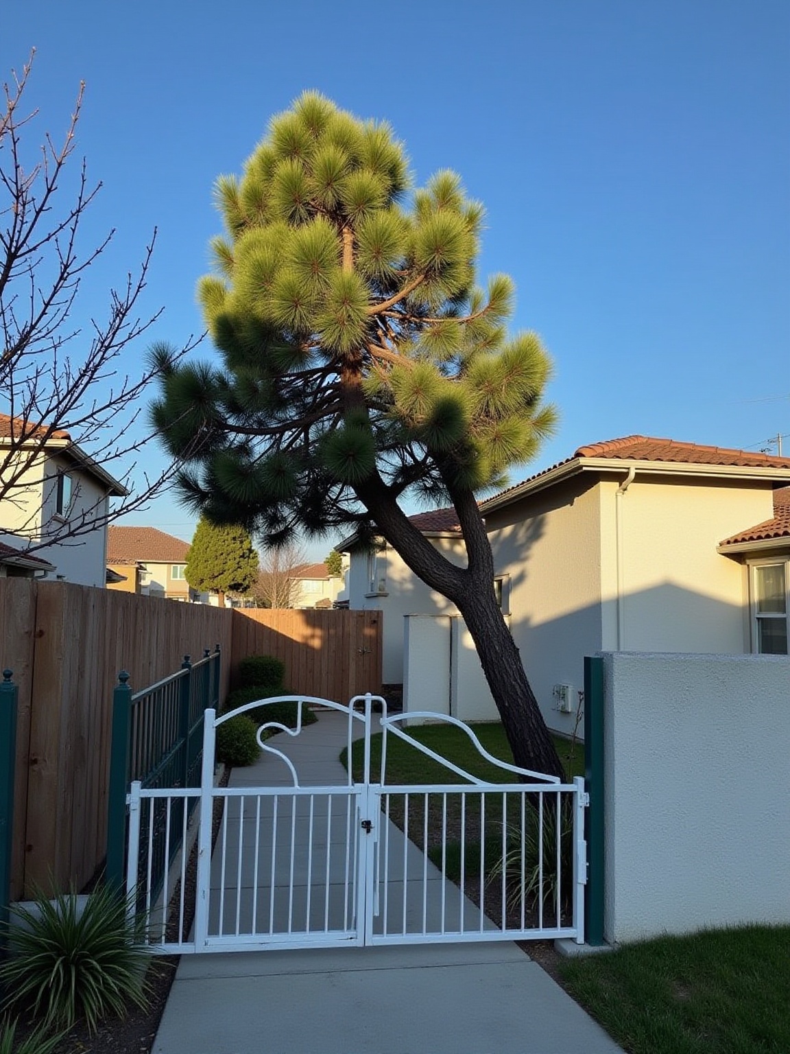 edit-the-provided-photo-while-preserving-the-exact-ilwdeqv7t