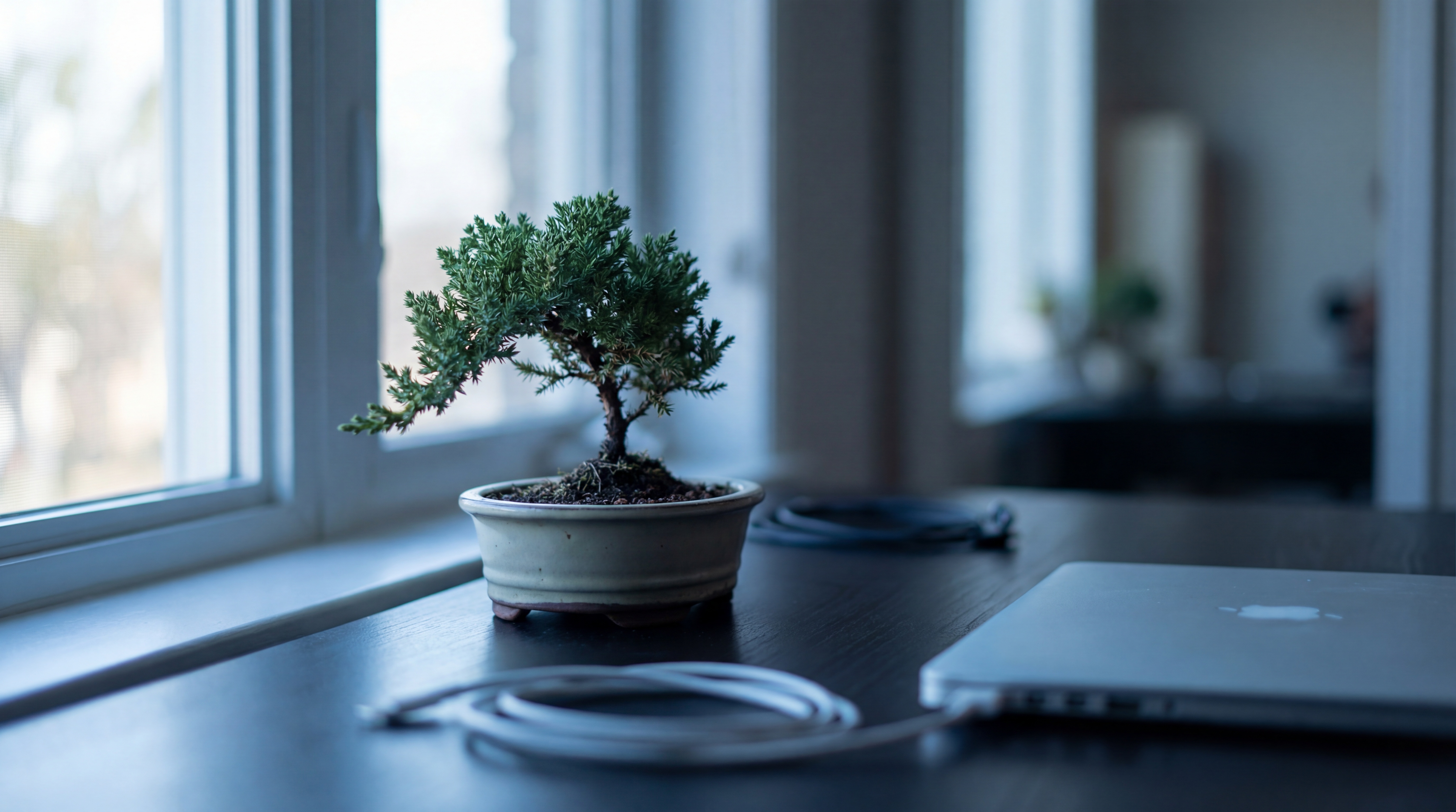 Cover image for 1-Bit Bonsai: First Viable 1-Bit LLMs Unveiled