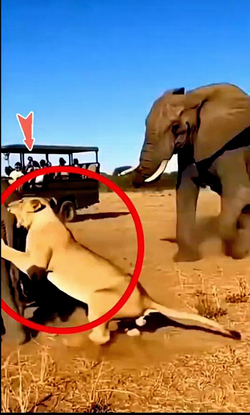 make-this-look-like-a-youtube-high-contrast-rsu2xvmhw6