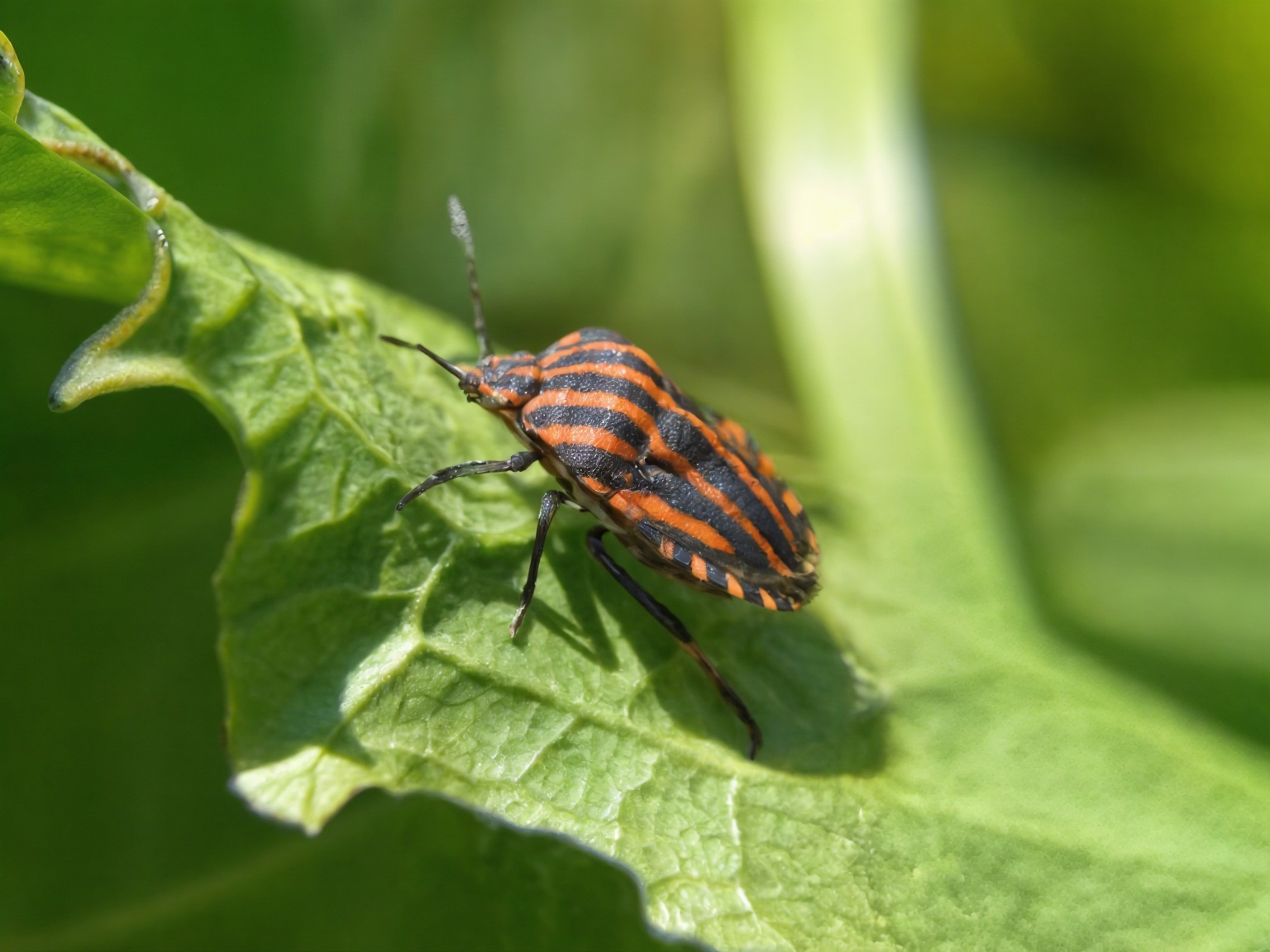 enhance-the-quality-of-this-photo-improving-the-dhkzviwtct