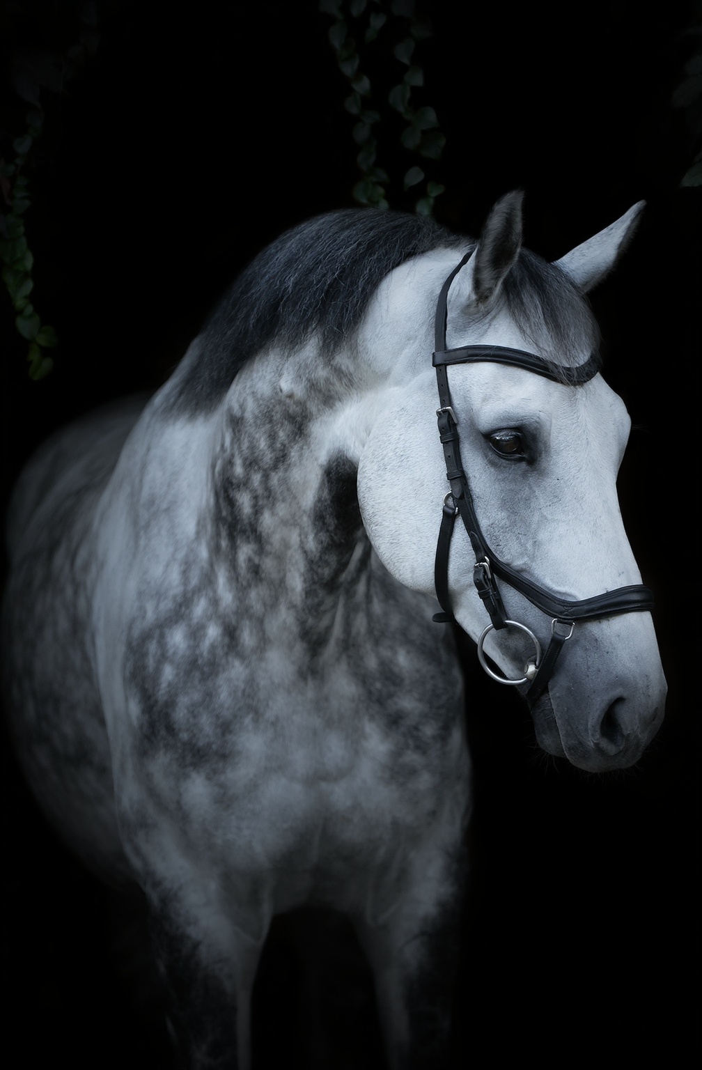 nowoczesna-elegancka-grafika-sprzedazowa-w-stylu-vlfkvljtrl