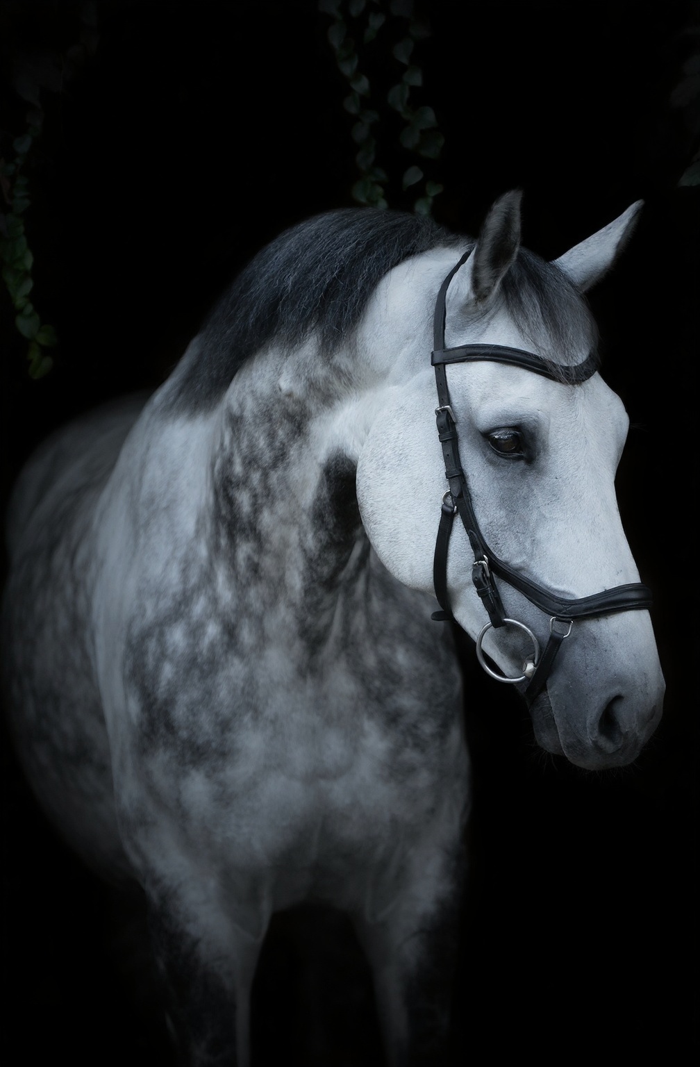 czy-mozesz-na-tym-zdjeciu-dopisac-tekst-w-stylu-mlrugce6or