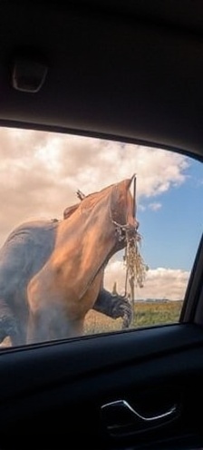 tira-o-desfoque-h8uxo2gvrg-1