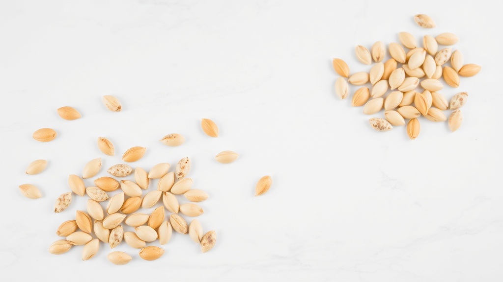 케겔운동효과 관련 이미지 2