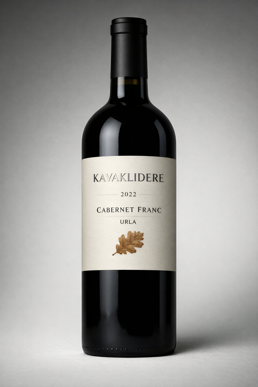 gpt-image-1.5 render