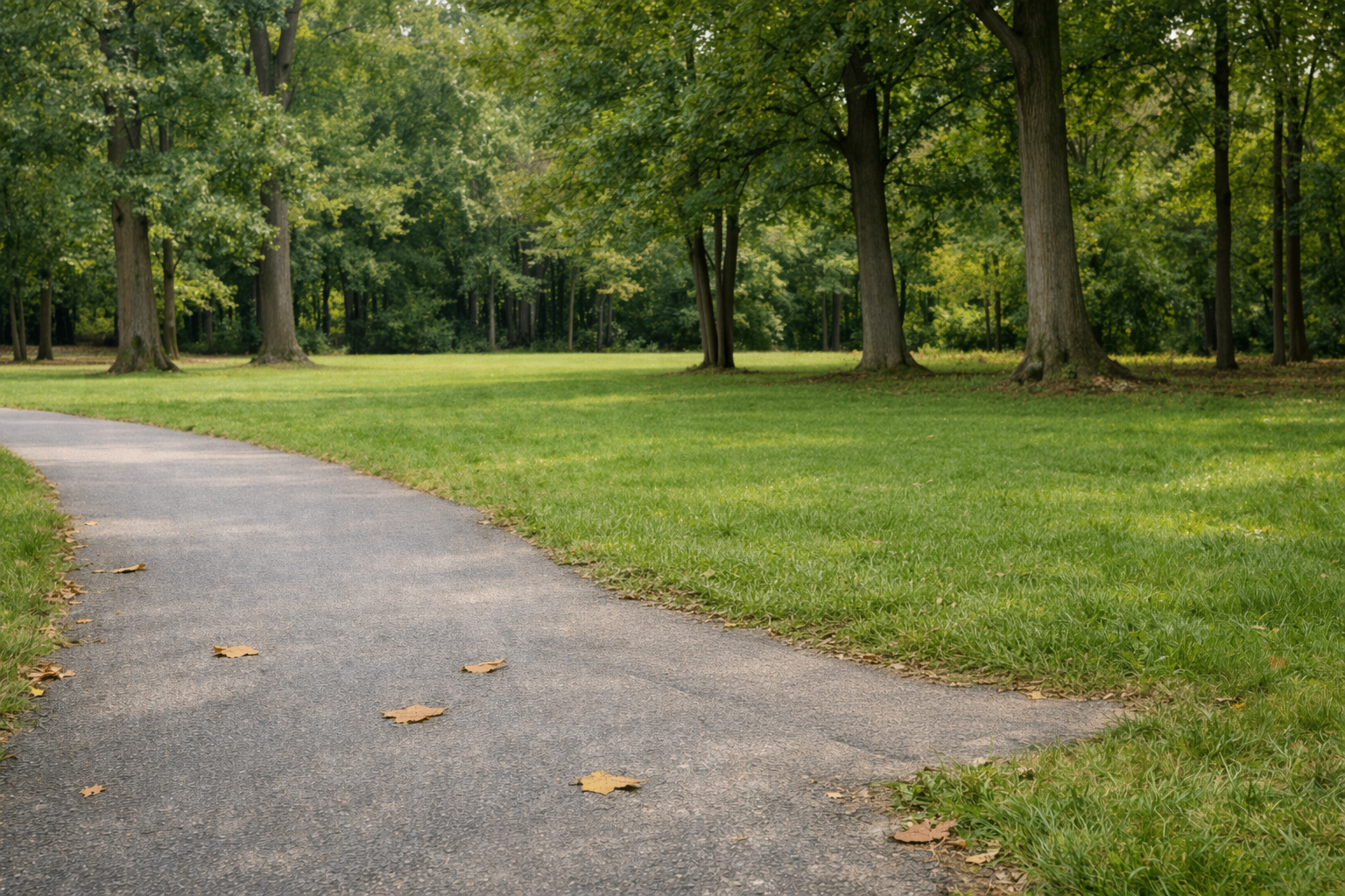 Remove a bench from the park
