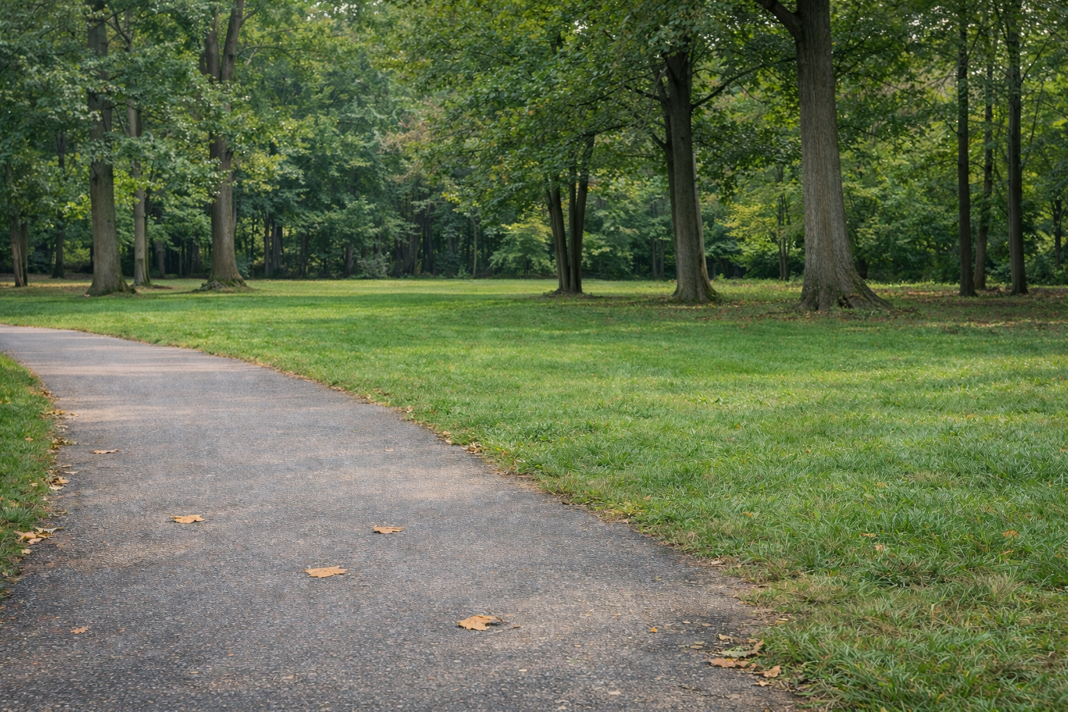 gpt-image-1.5 render