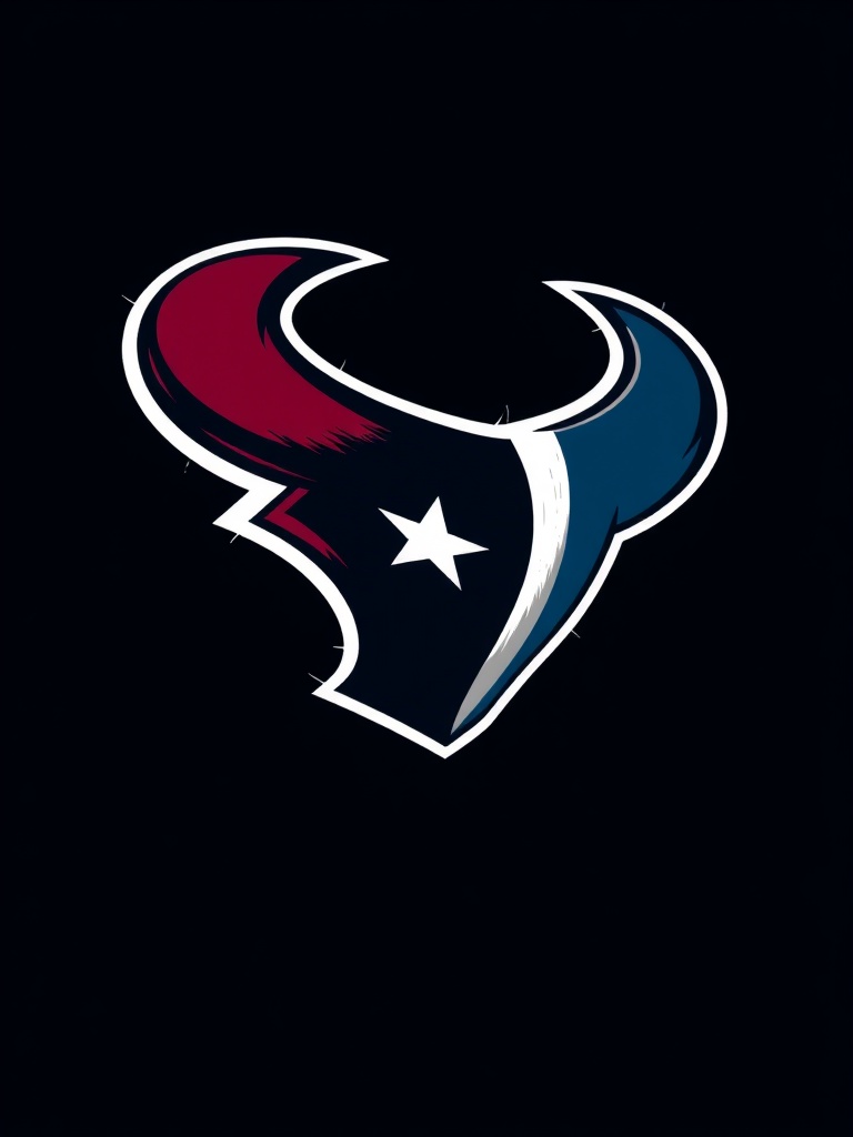 Houston Texans image