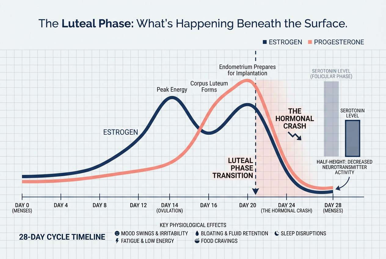 A hormonal timeline graph for men showing the sharp drop in estrogen and progesterone during the luteal phase to explain PMS symptoms.