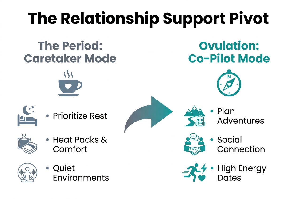 Comparison chart for partners showing the difference between caretaker mode during menstruation and co-pilot mode during the ovulation phase.