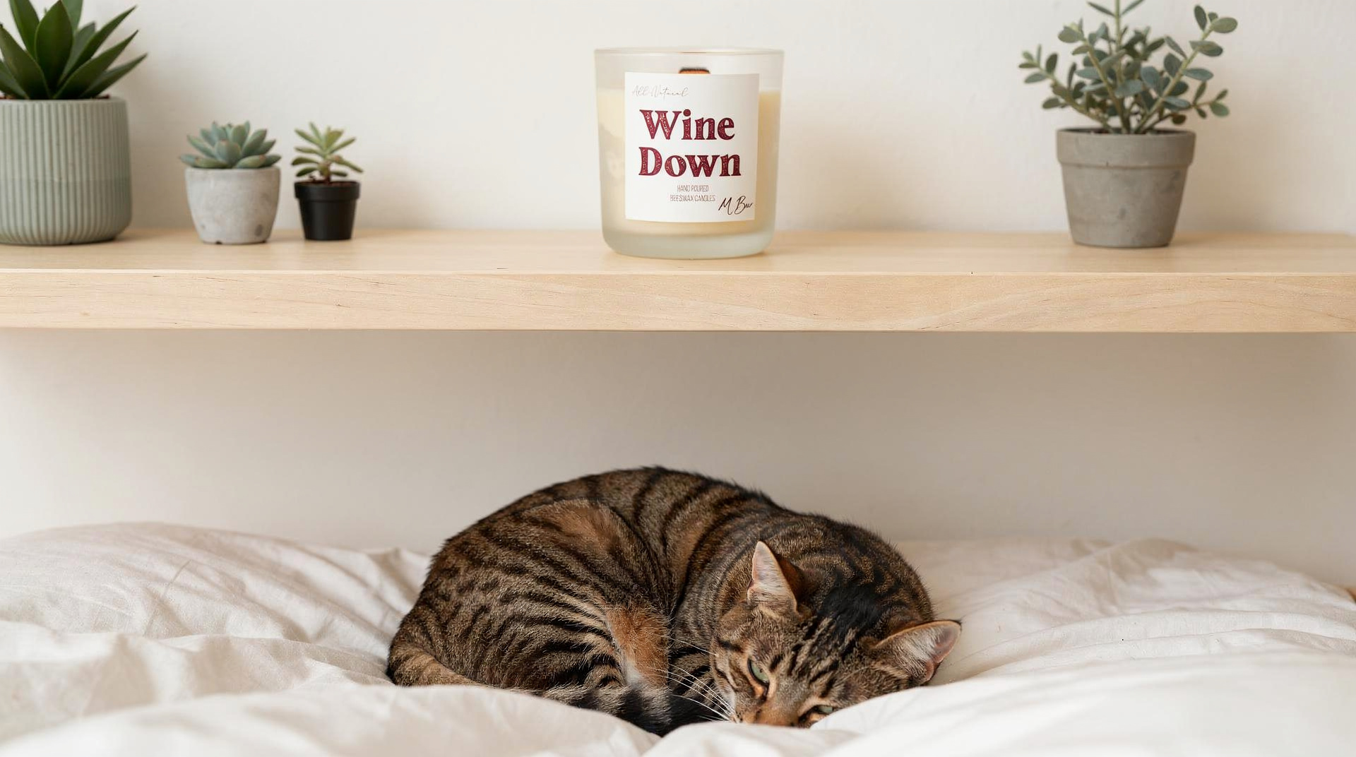 Best Candles for Pet Households: Safe Around Dogs, Cats, and Small Animals