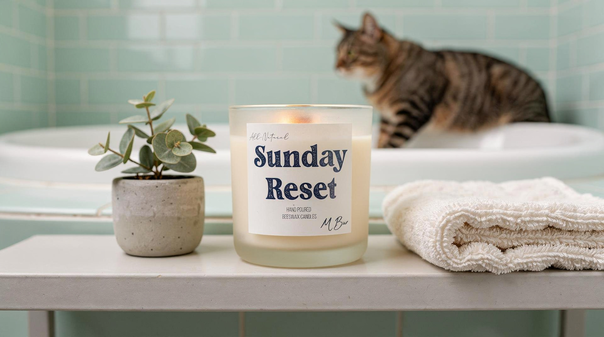 Best Candles for People with Pets and Allergies (Both at Once)