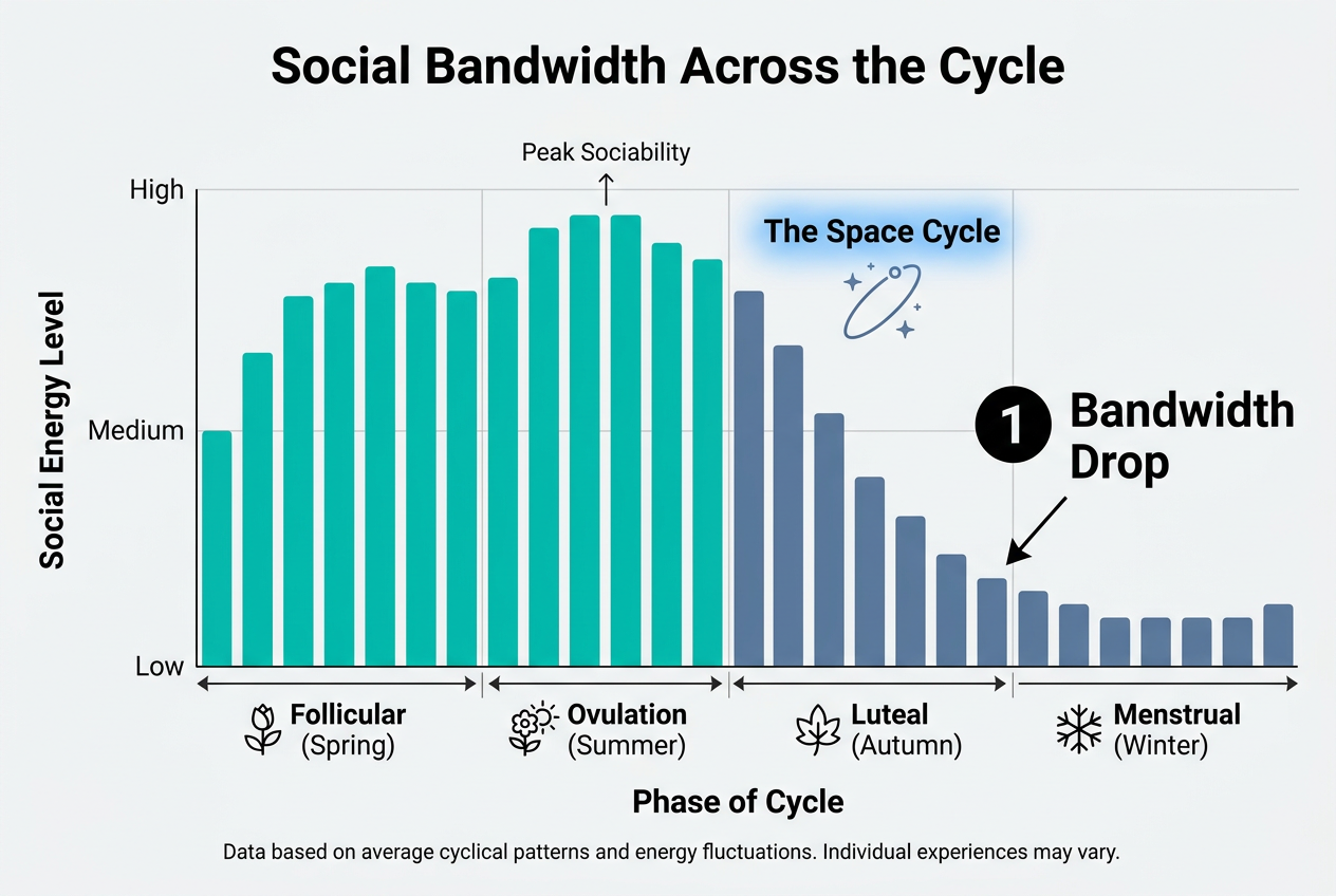 A horizontal bar chart showing how social energy peaks during ovulation and drops significantly during the luteal phase of the menstrual cycle.