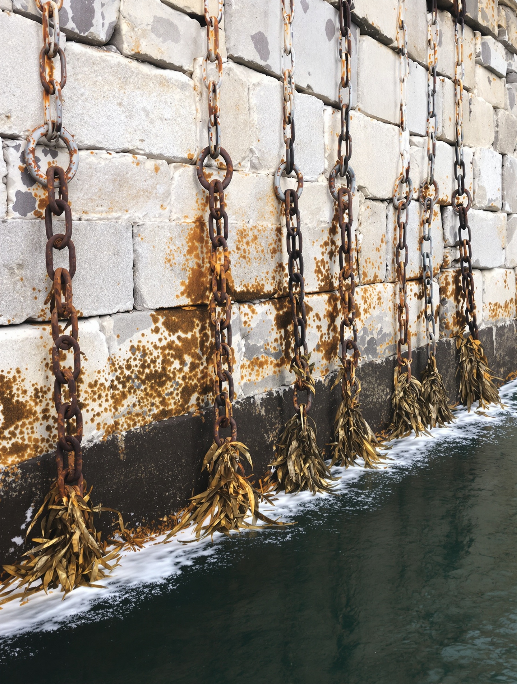 Rusted harbour chains and kelp on a stone Adriatic wall, the material world of Megamare by Orto Parisi.