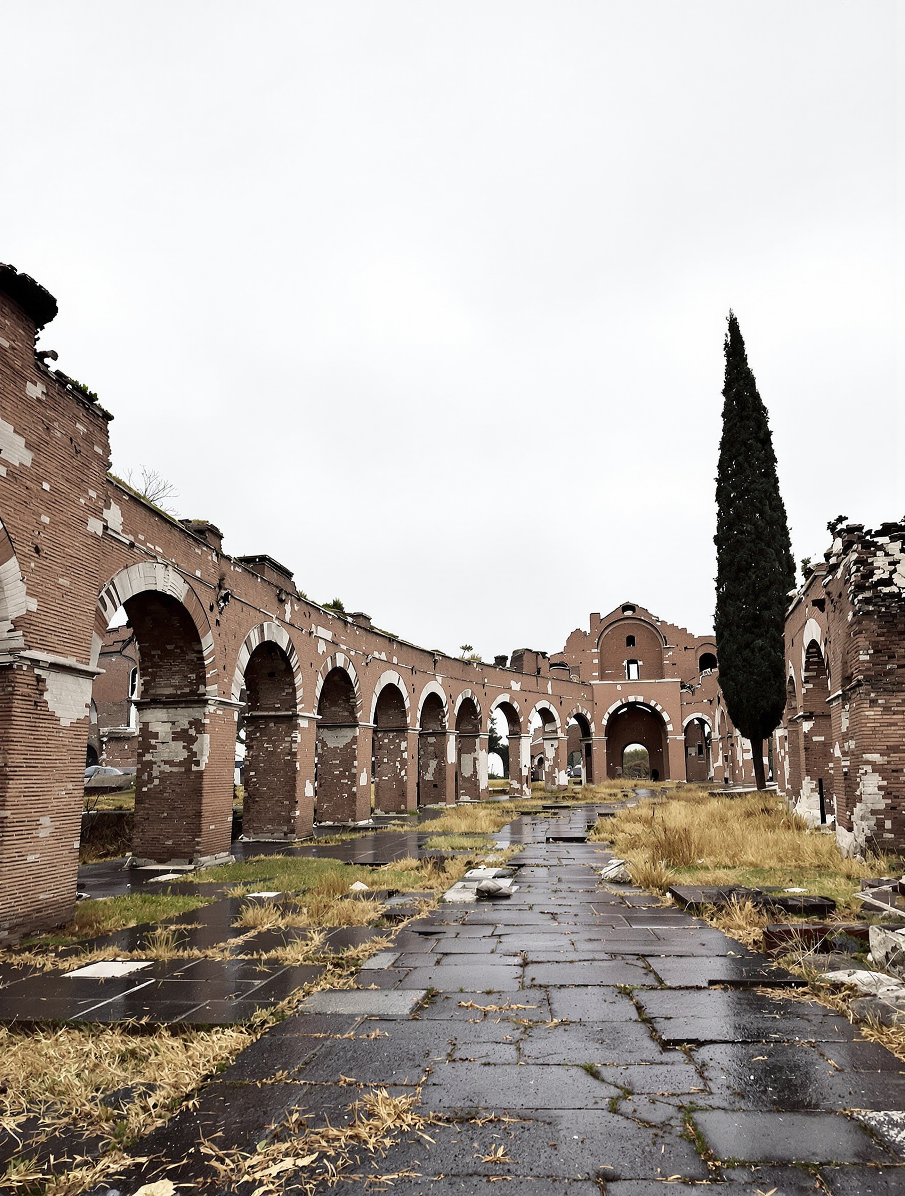 Wide editorial photograph of the Palatine Hill ruins in November for Chypre Palatin by MDCI