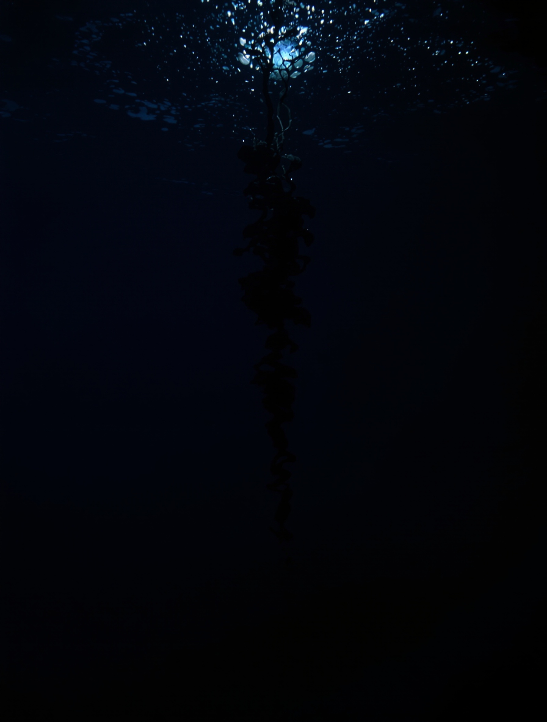 A deep underwater editorial photograph for Zoologist Squid, looking up through ink-clouded prussian-blue water toward a distant circle of gray surface light.