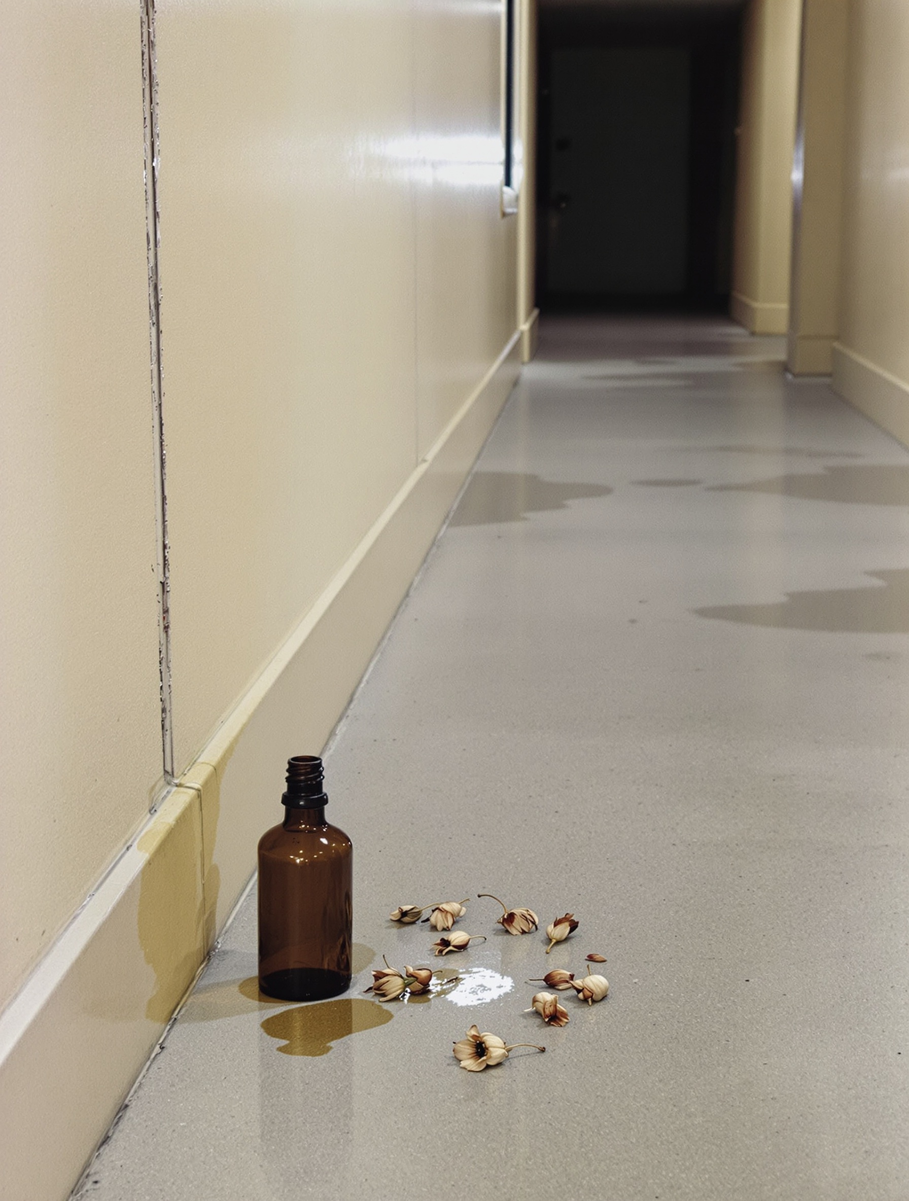 A bare concrete corridor in cold grey light with a single iodine bottle, its dark stain spreading beside three burnt dried flowers and a folded grey blanket, receding into shadow.