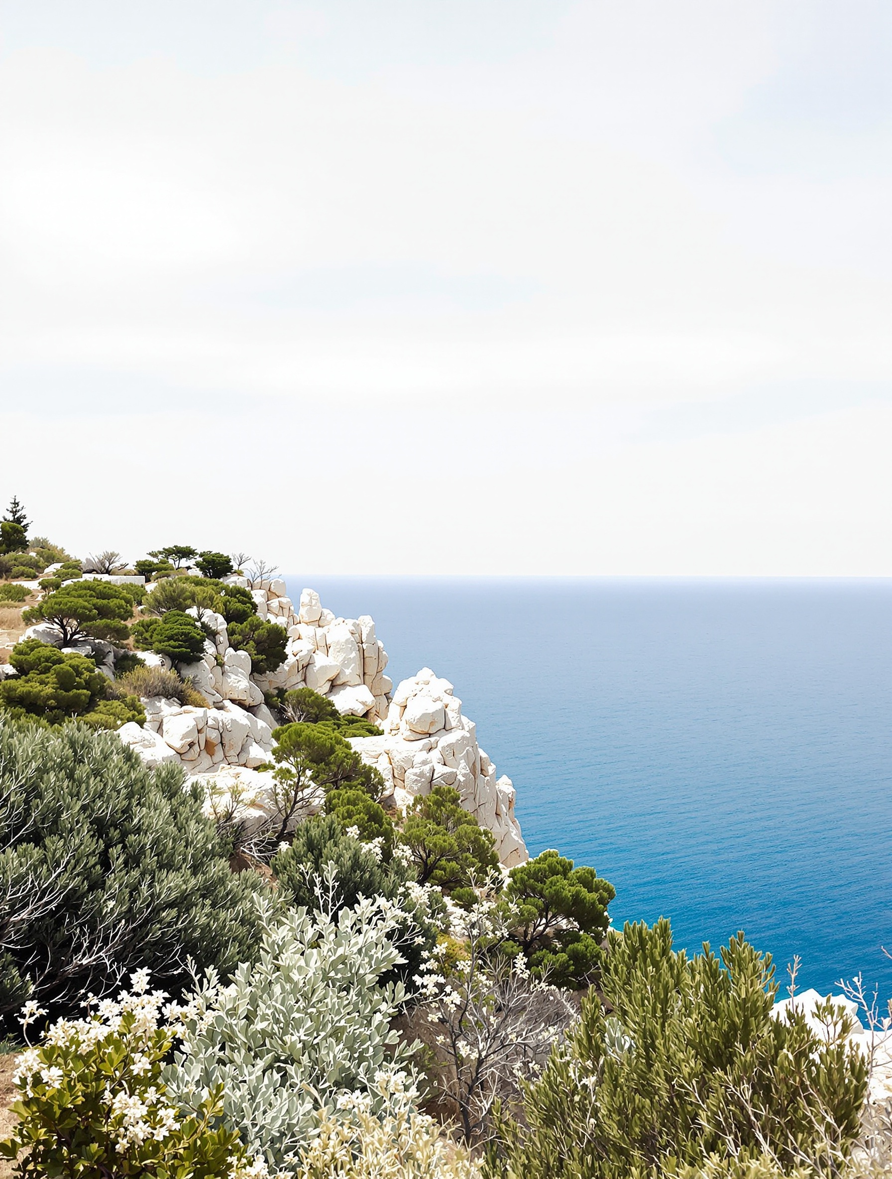 A rocky Mediterranean headland dense with eucalyptus and wild santolina above open blue sea, evoking the herbal saline air of Tiziana Terenzi Dorade.