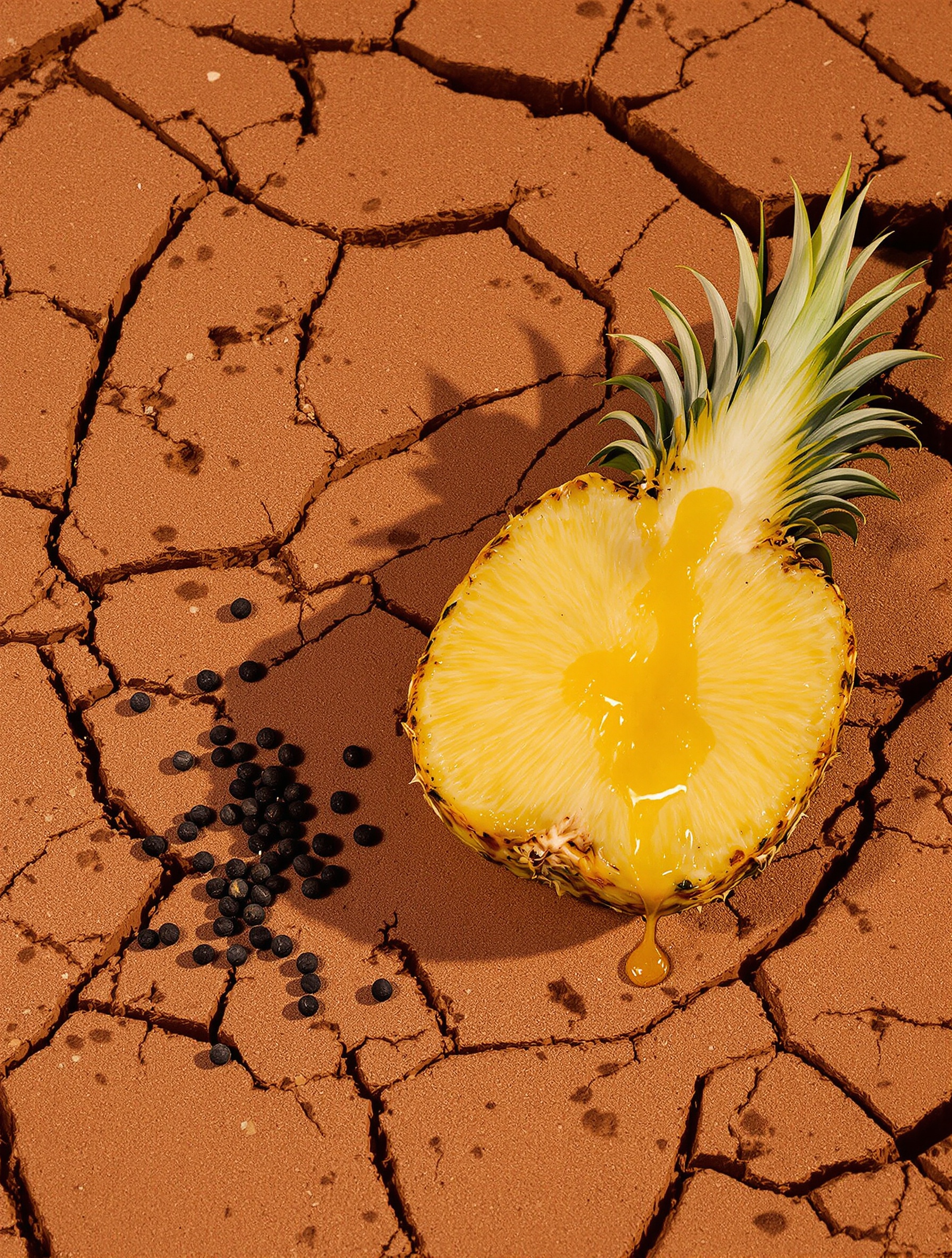 A halved pineapple with natural golden flesh lies on iron-red cracked earth, amber juice seeping into the dry soil beside a scatter of peppercorns.