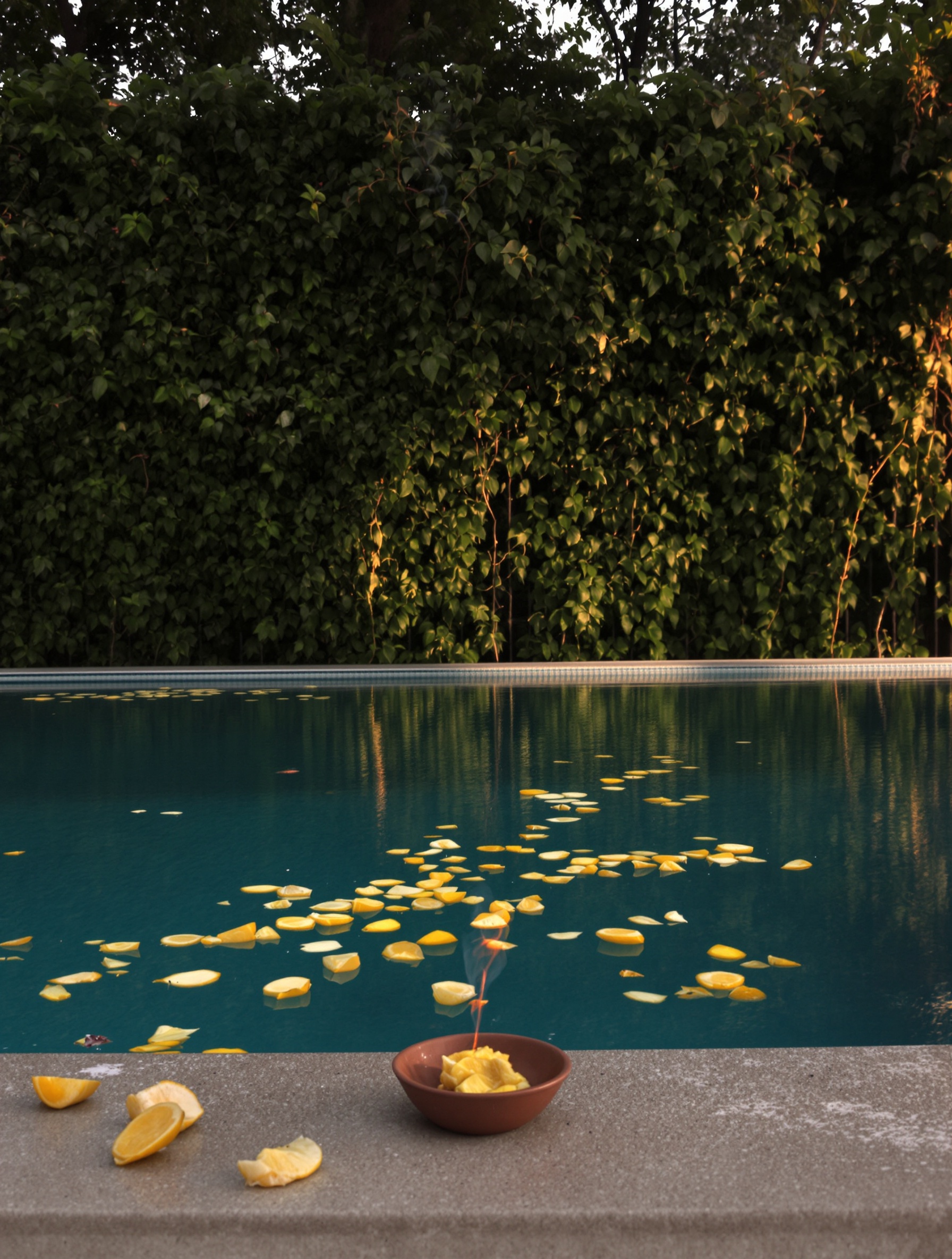 Neon Palms by Lost Tribe, a humid resort pool at golden hour with floating tropical fruit rinds and a thread of incense smoke.