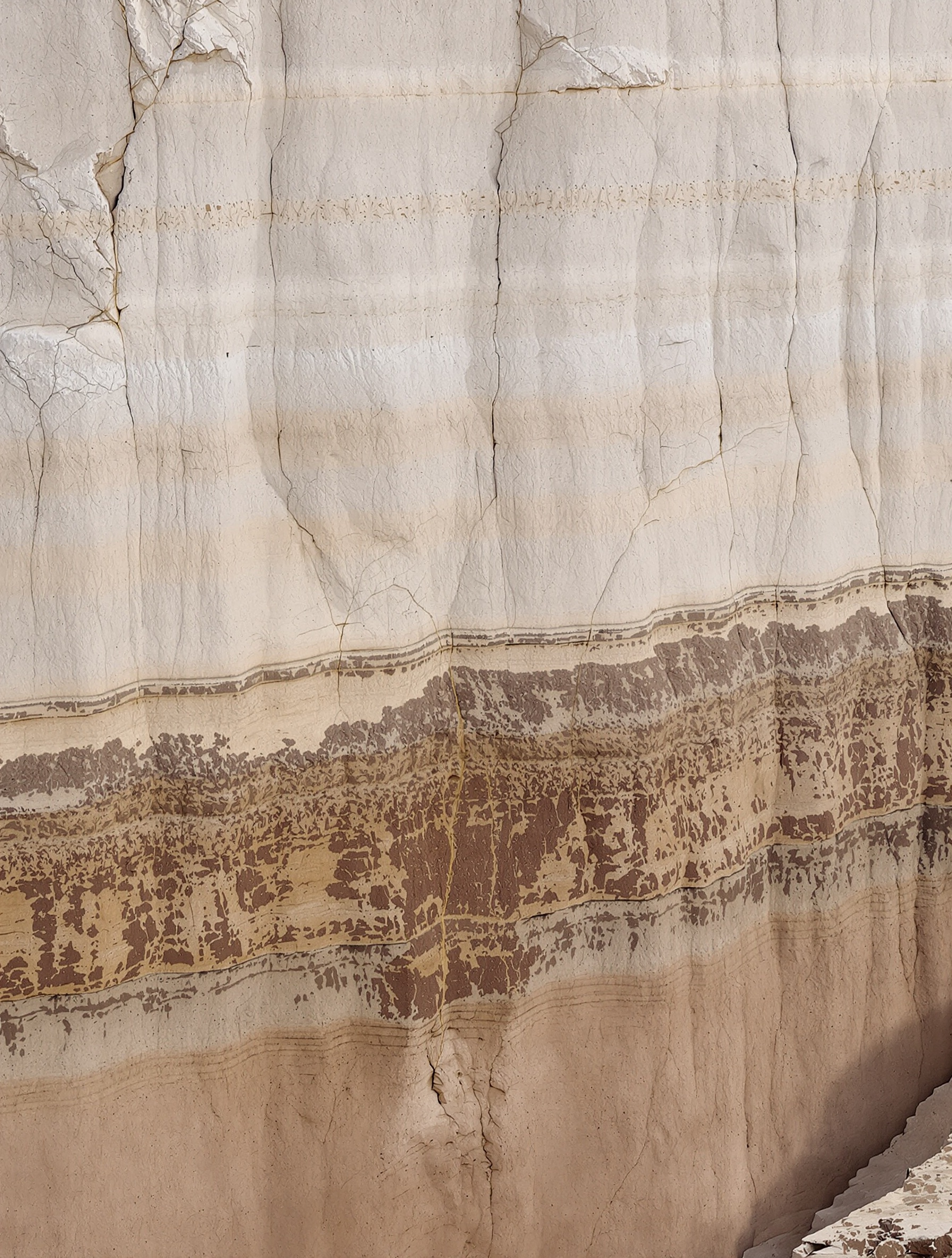 The layered canyon walls of Jebel Shams cross-sectioned in early light, pale above and dark amber below with a seam of warm gold running through, the geological portrait of Amouage Decision.
