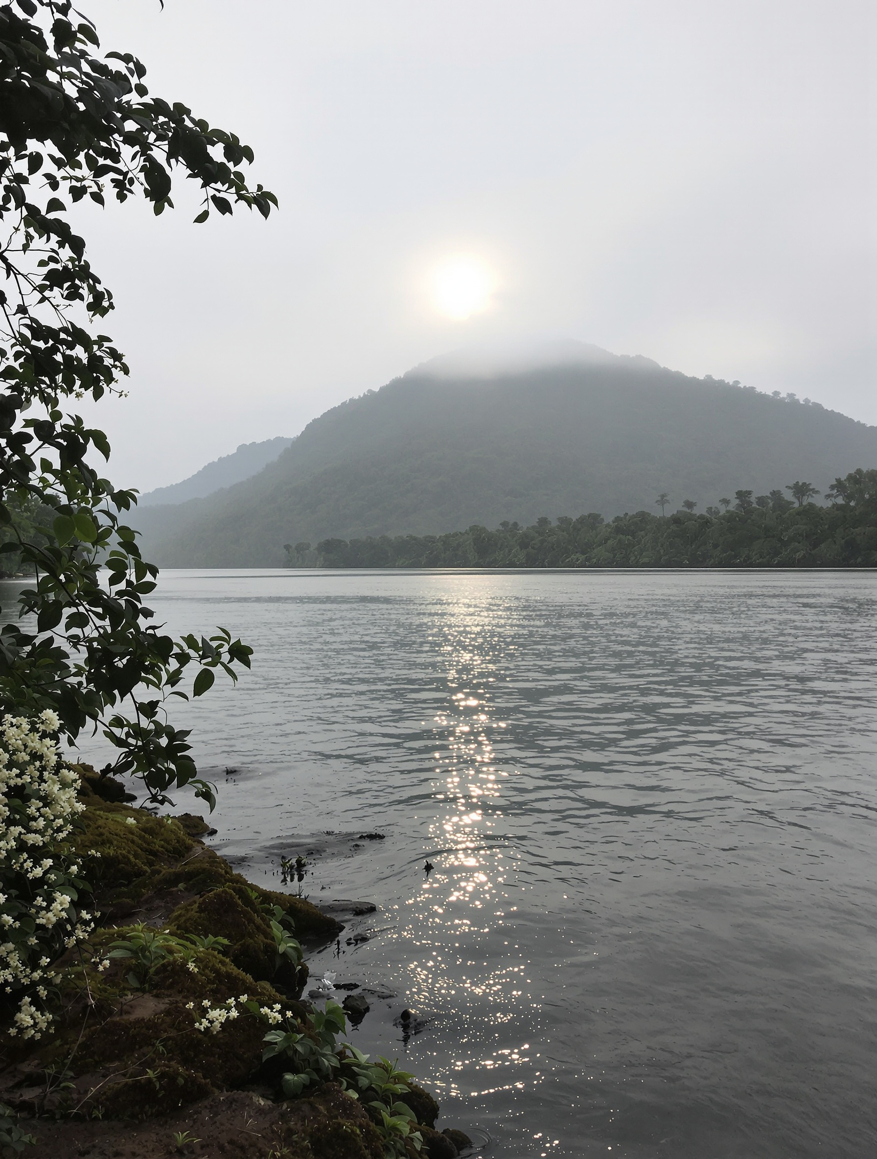 A dawn-lit highland river with jasmine on the bank, evoking Borneo Trifecta's opening accord.